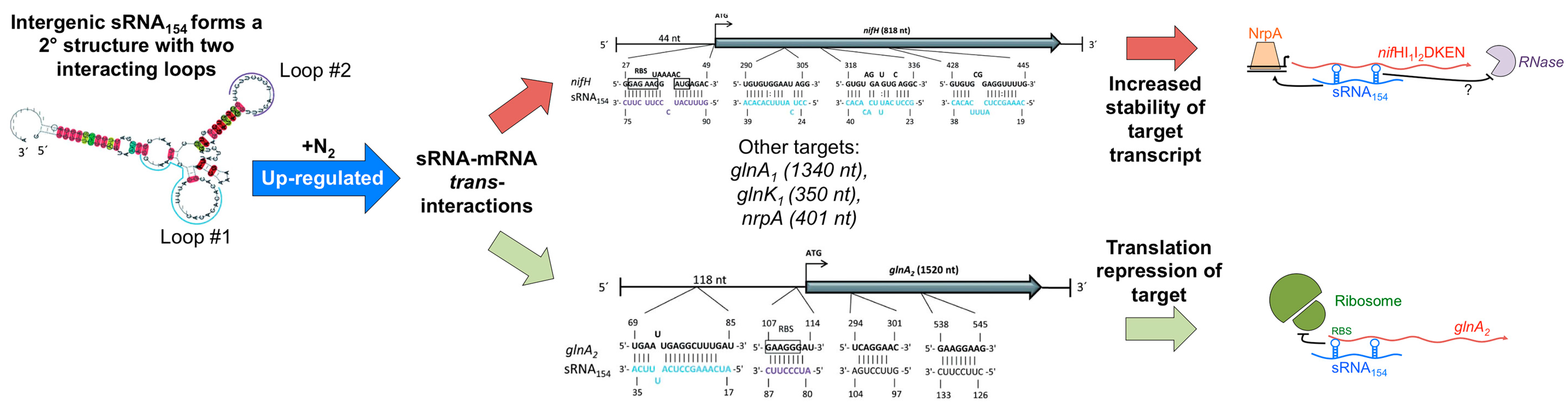 Genes 09 00141 g003 Genes 09 00141 g003