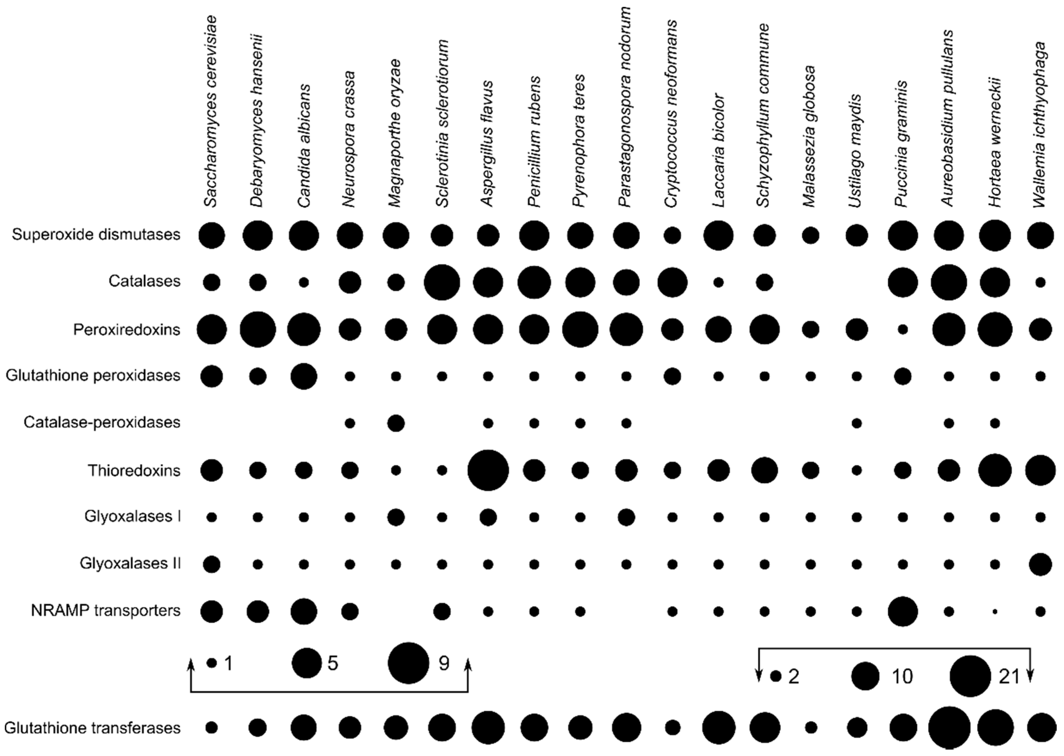 Genes 09 00143 g001 Genes 09 00143 g001