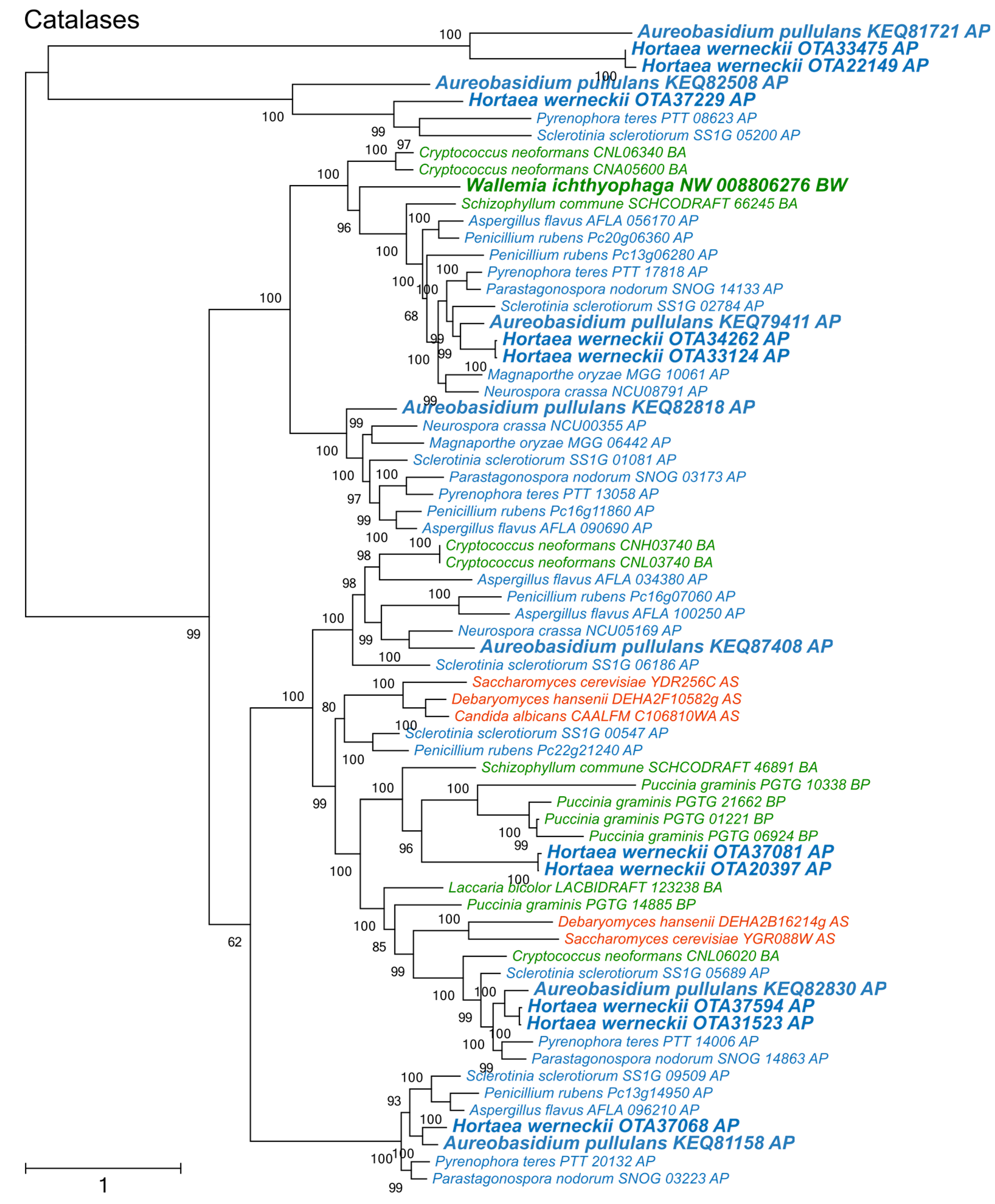 Genes 09 00143 g003 Genes 09 00143 g003