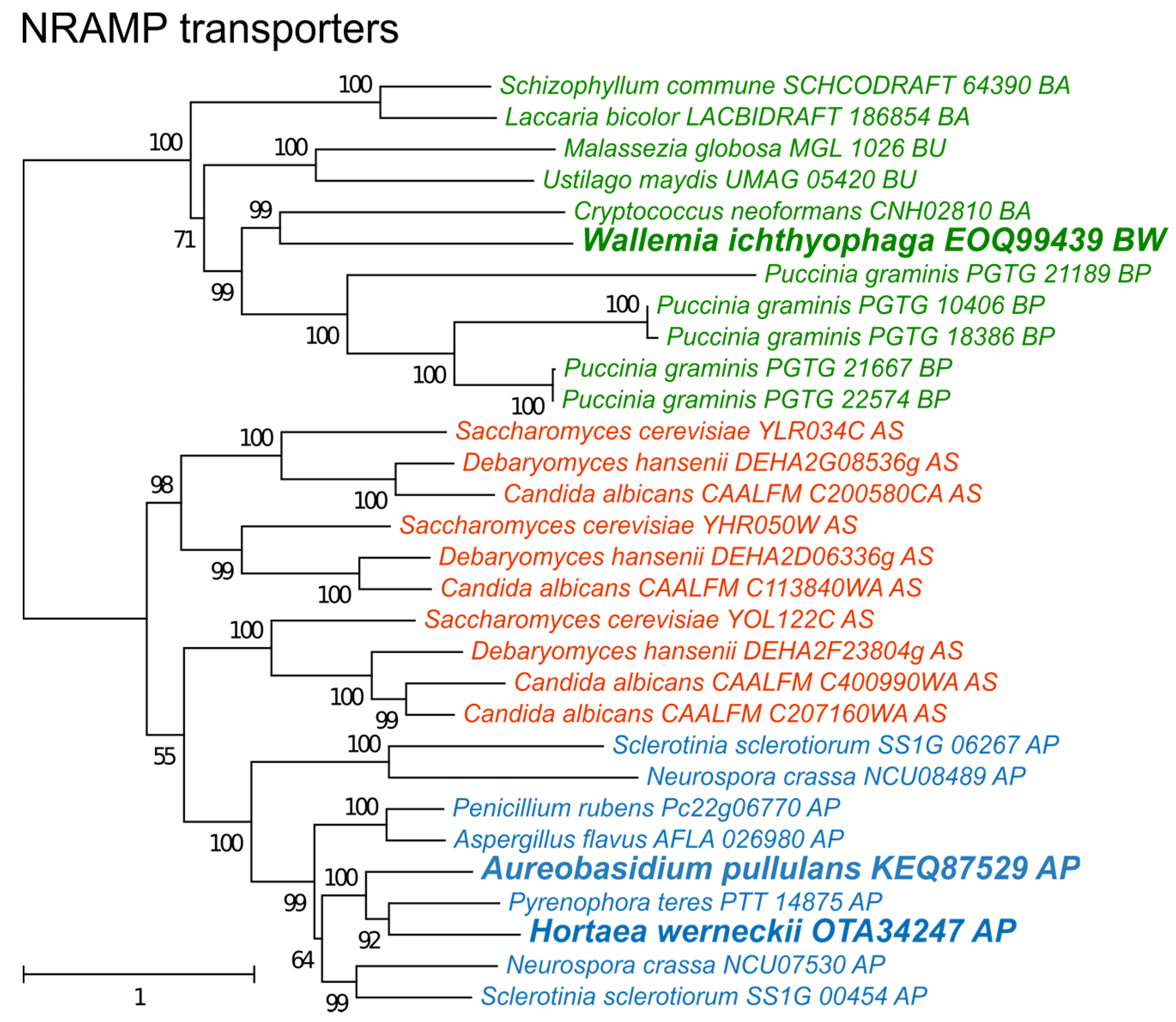 Genes 09 00143 g006 Genes 09 00143 g006