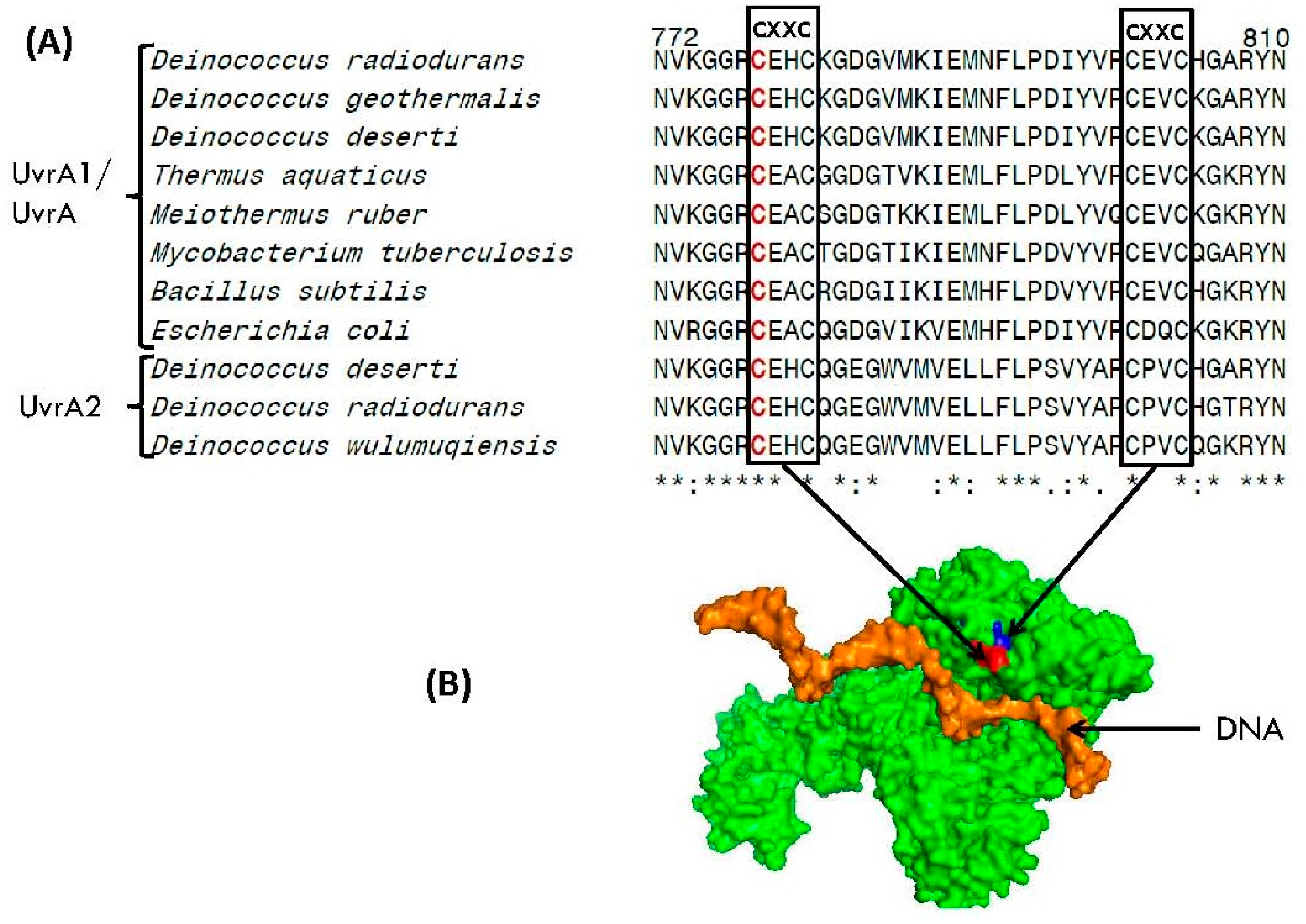 Genes 09 00149 g008 Genes 09 00149 g008