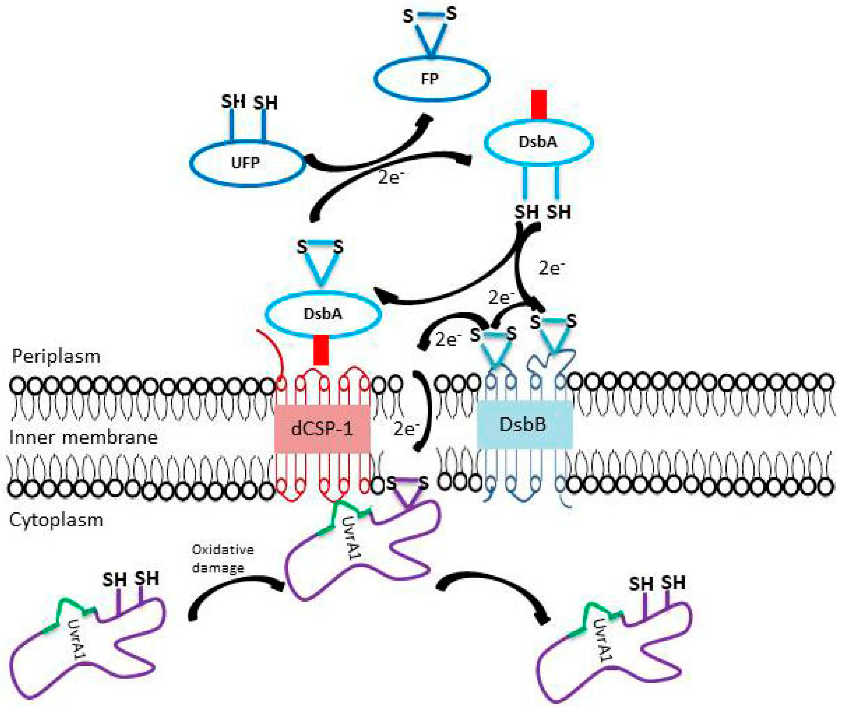 Genes 09 00149 g009 Genes 09 00149 g009