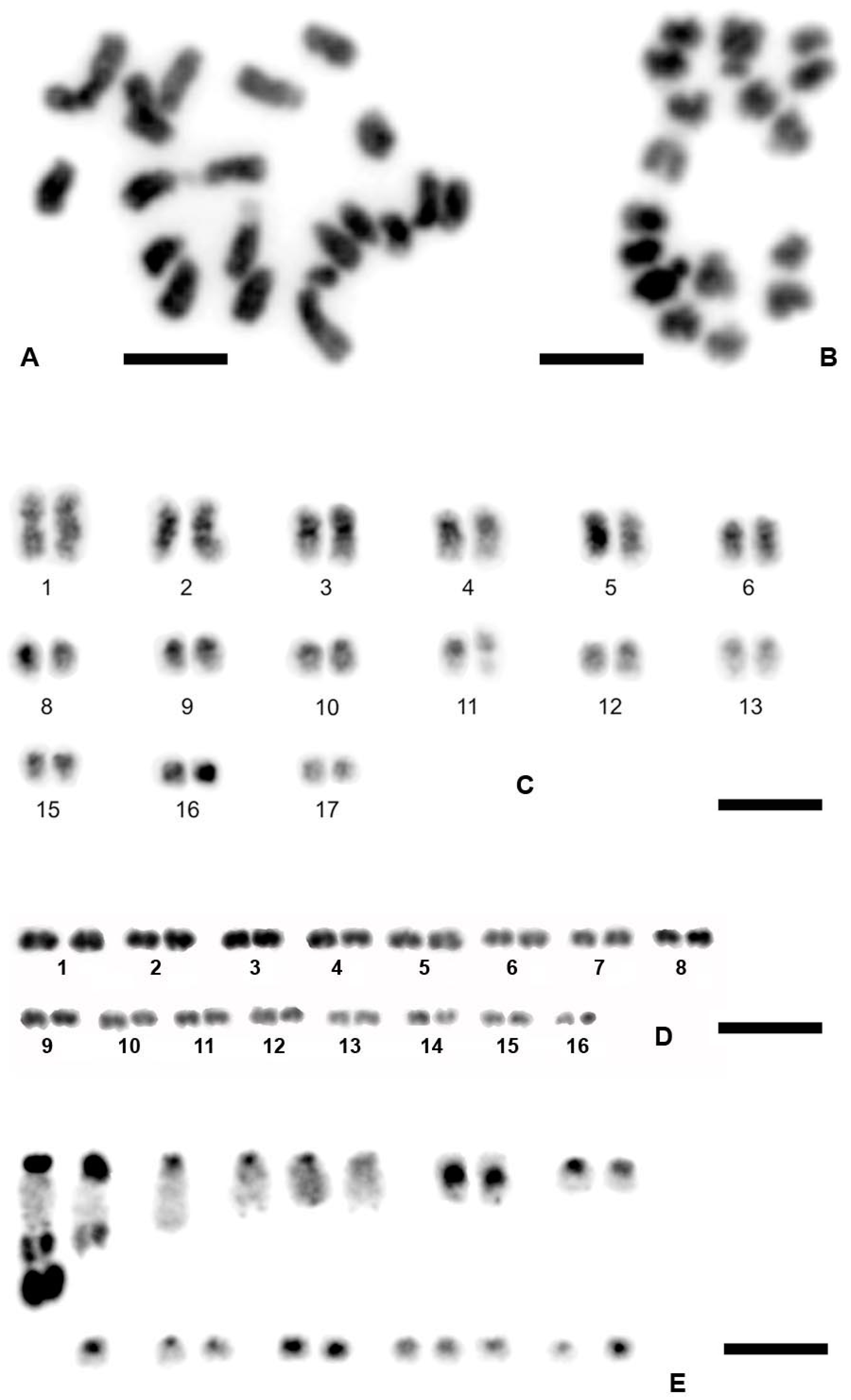 Genes 09 00150 g004 Genes 09 00150 g004