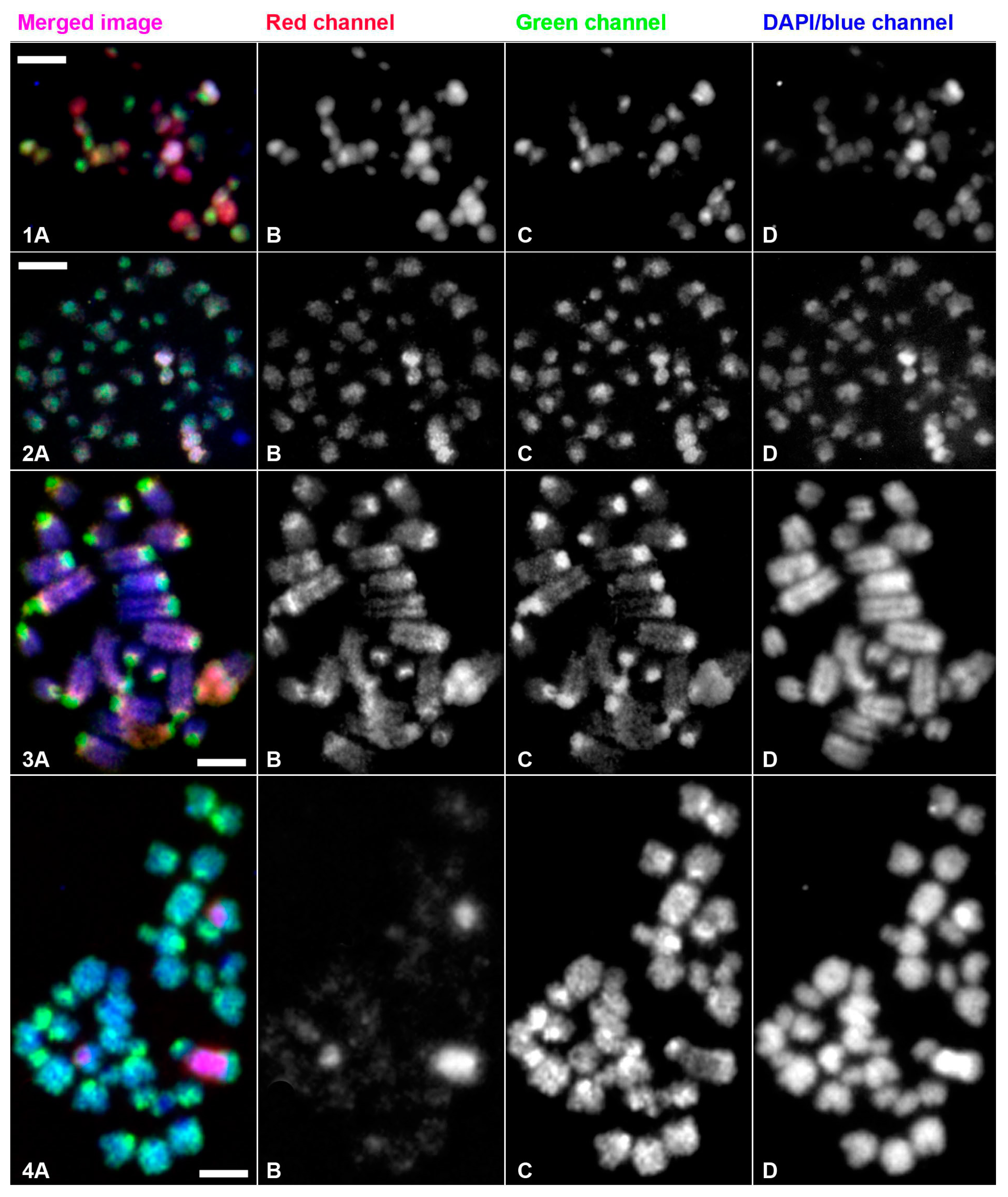 Genes 09 00150 g005 Genes 09 00150 g005