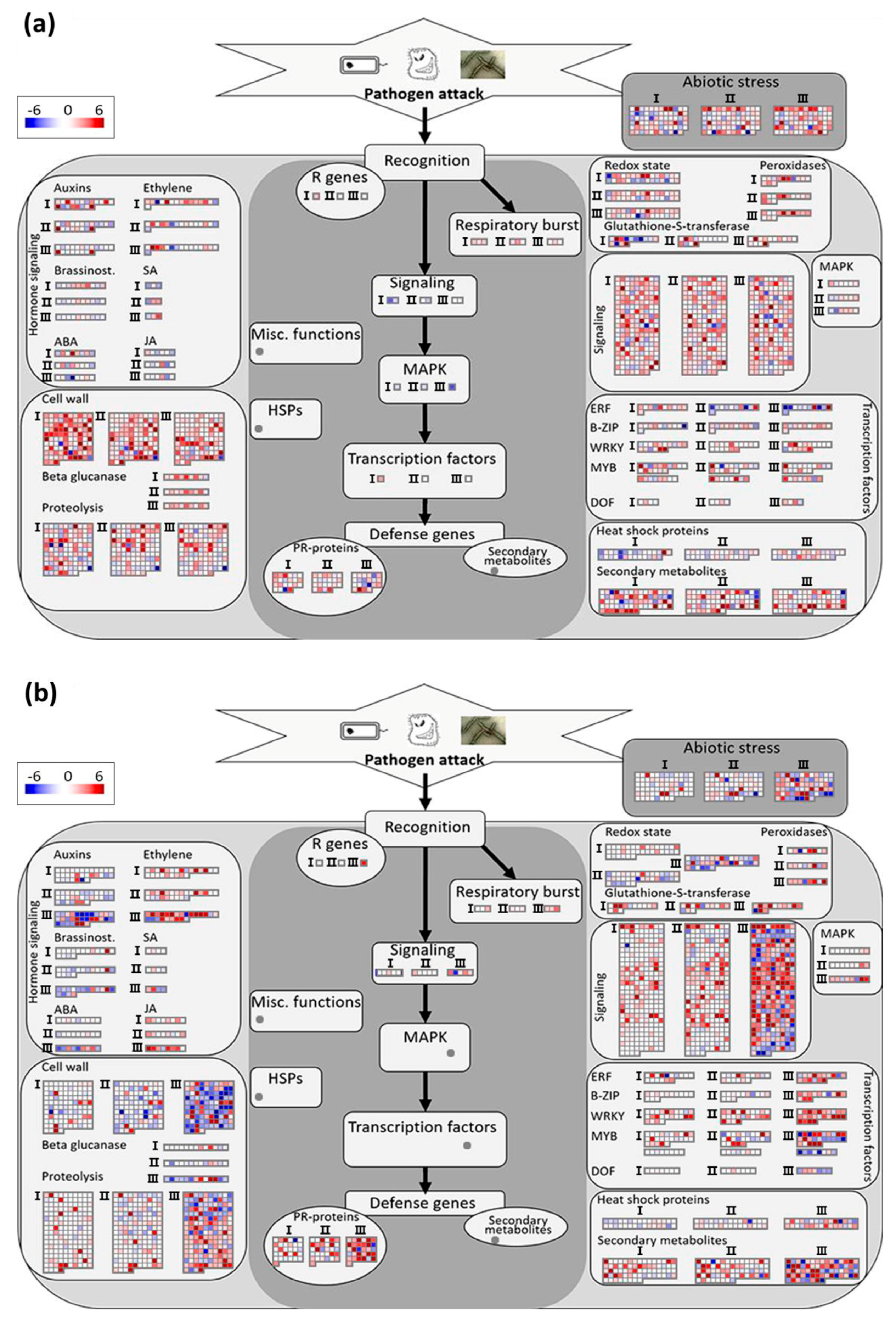 Genes 09 00154 g005