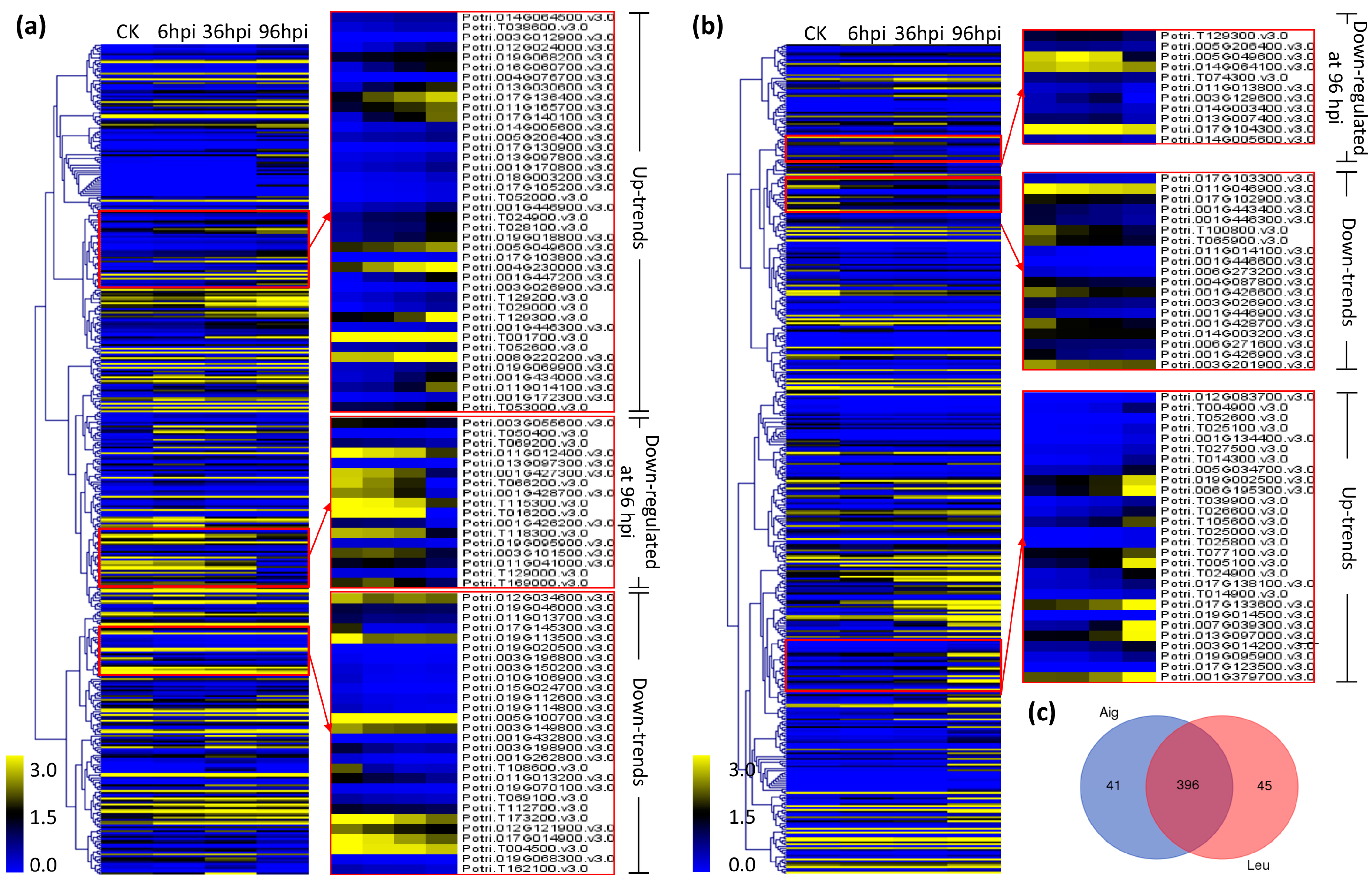 Genes 09 00154 g009