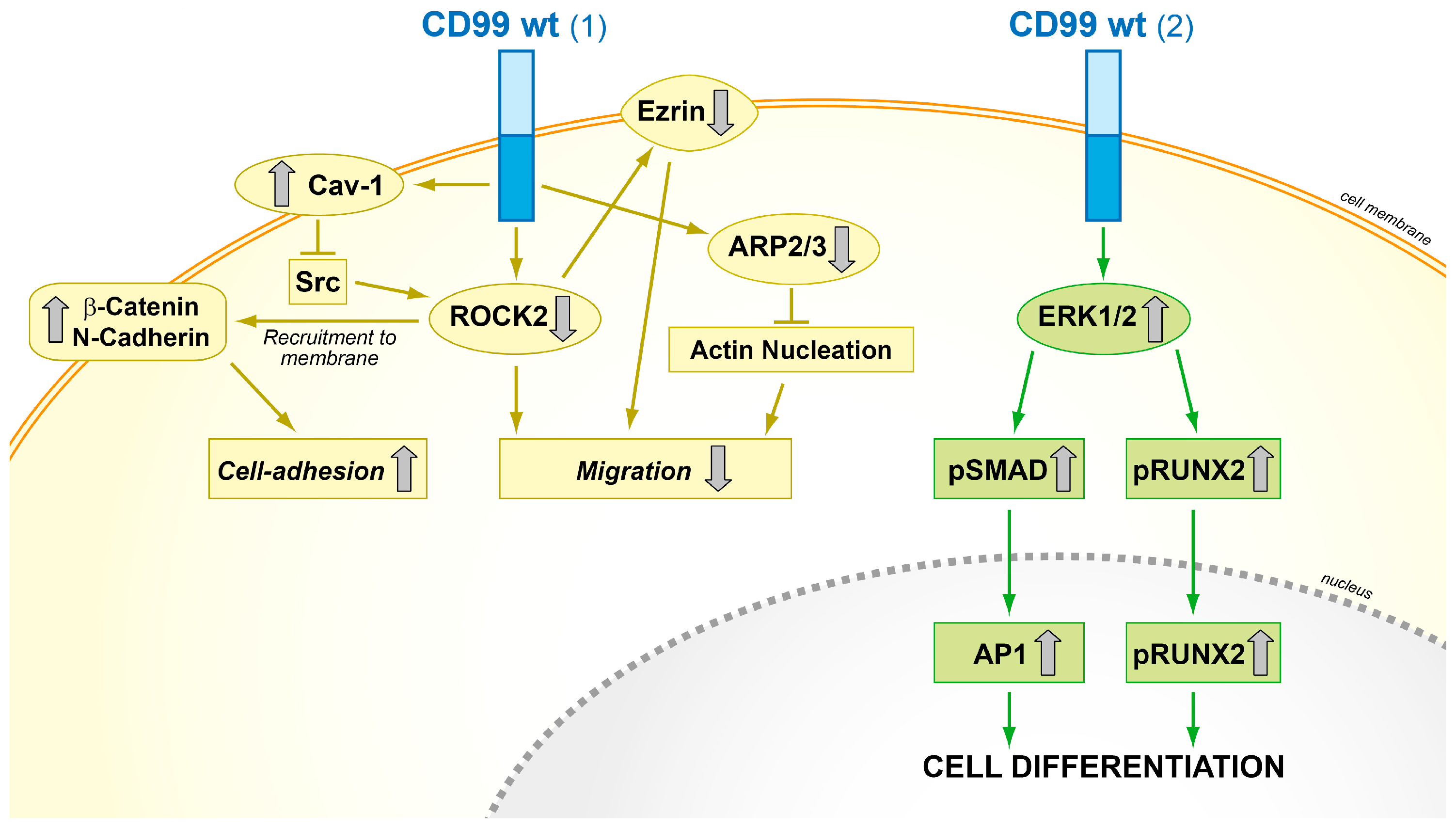 Genes 09 00159 g005 Genes 09 00159 g005
