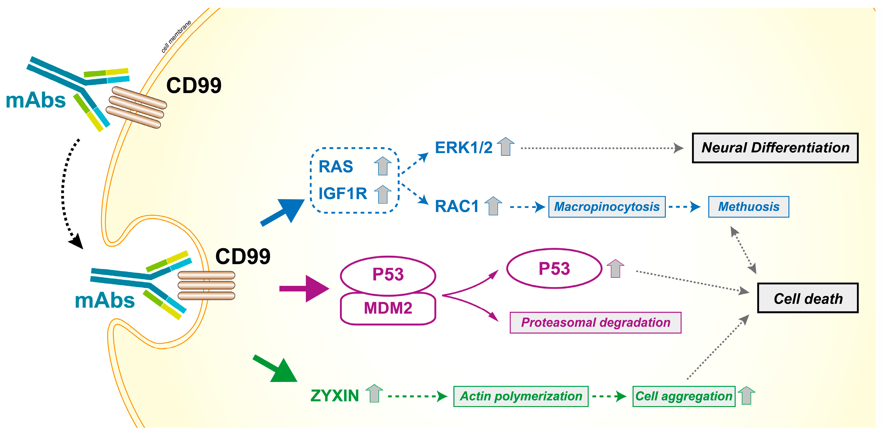 Genes 09 00159 g006 Genes 09 00159 g006