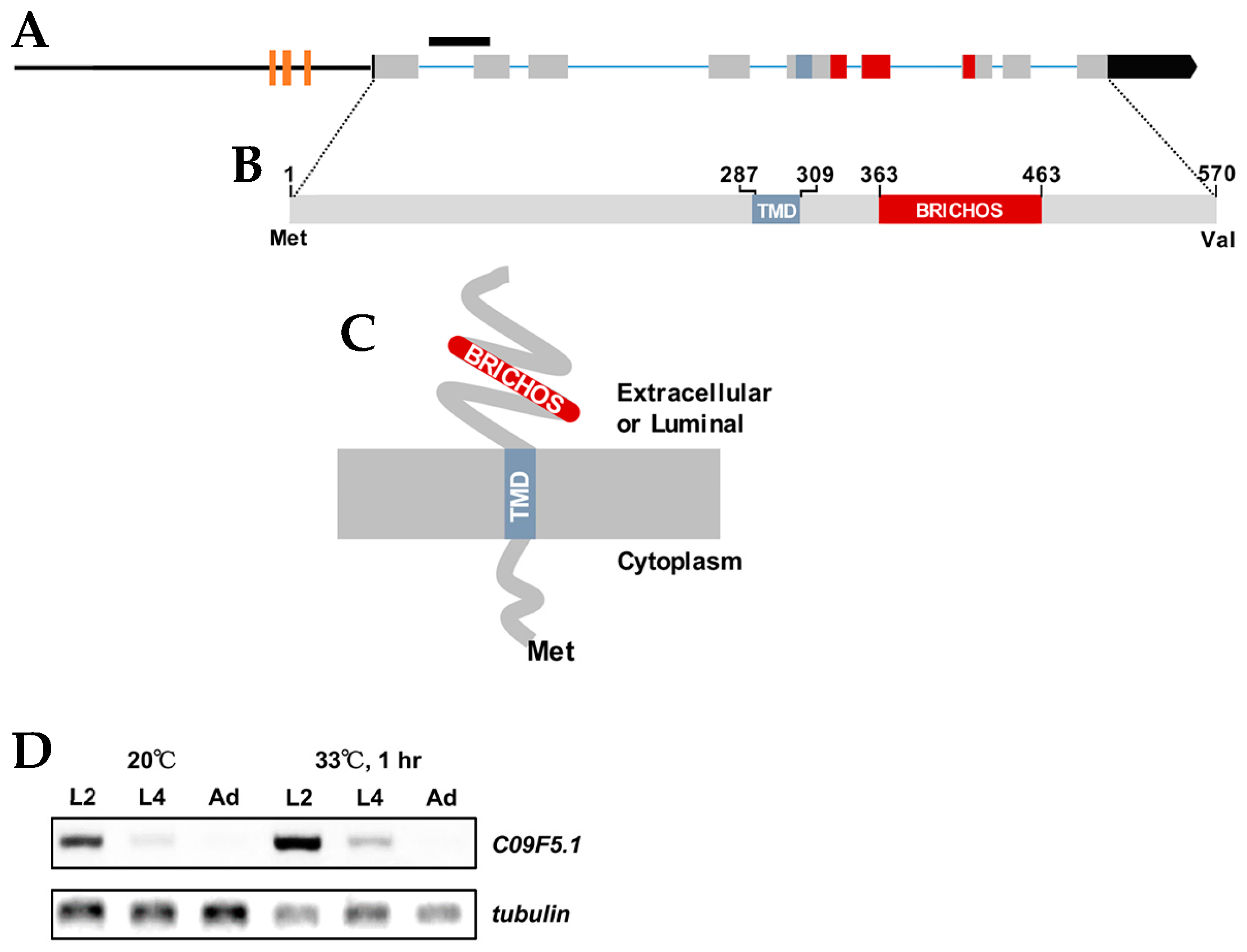 Genes 09 00160 g001 Genes 09 00160 g001