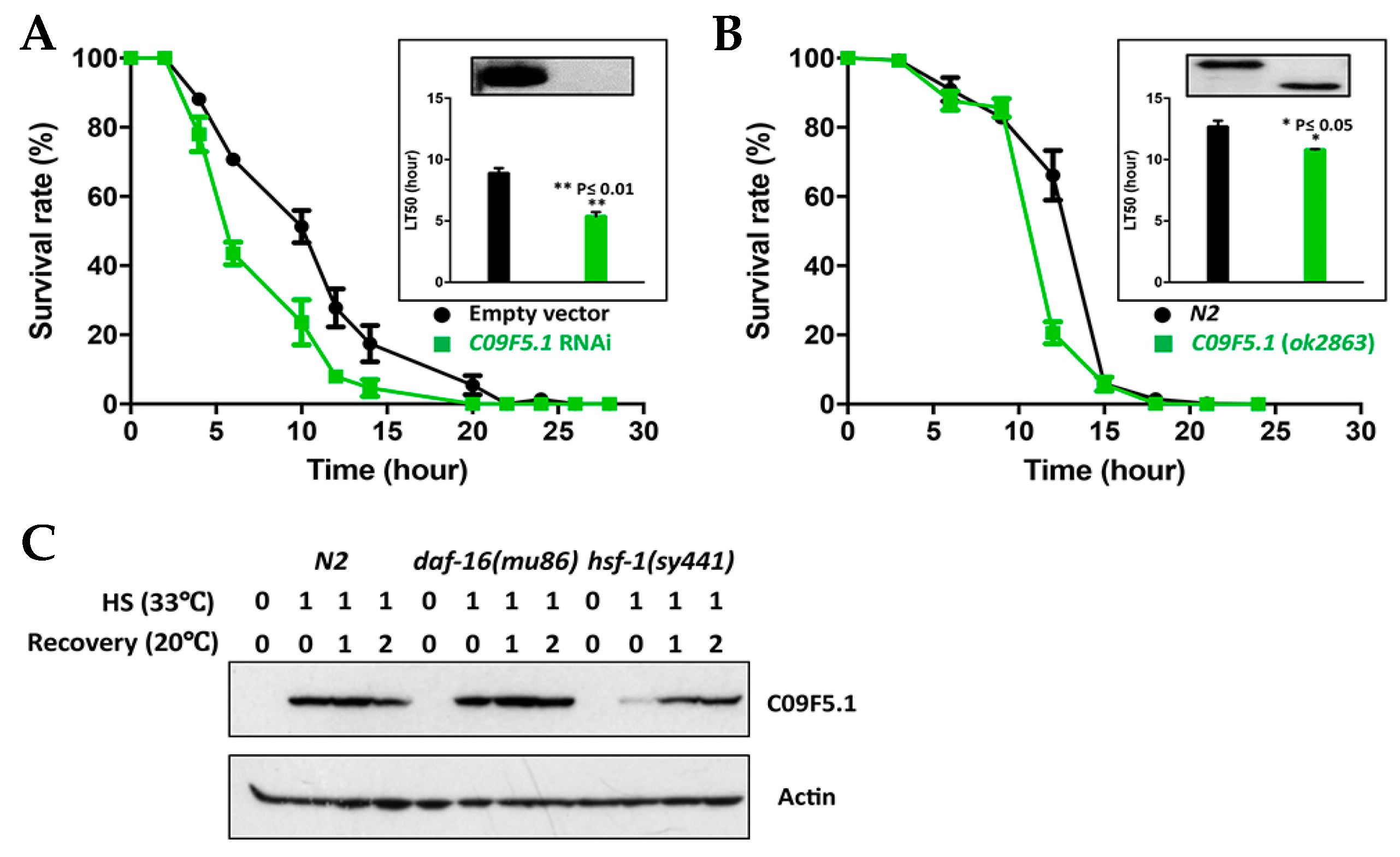 Genes 09 00160 g003 Genes 09 00160 g003