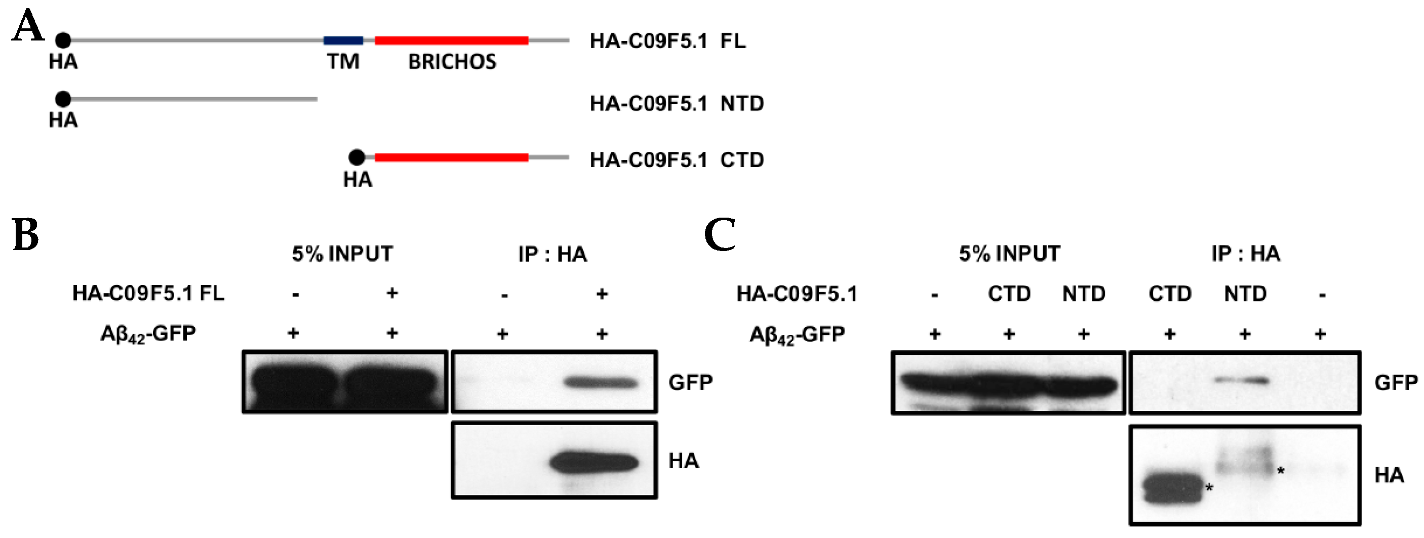Genes 09 00160 g004 Genes 09 00160 g004