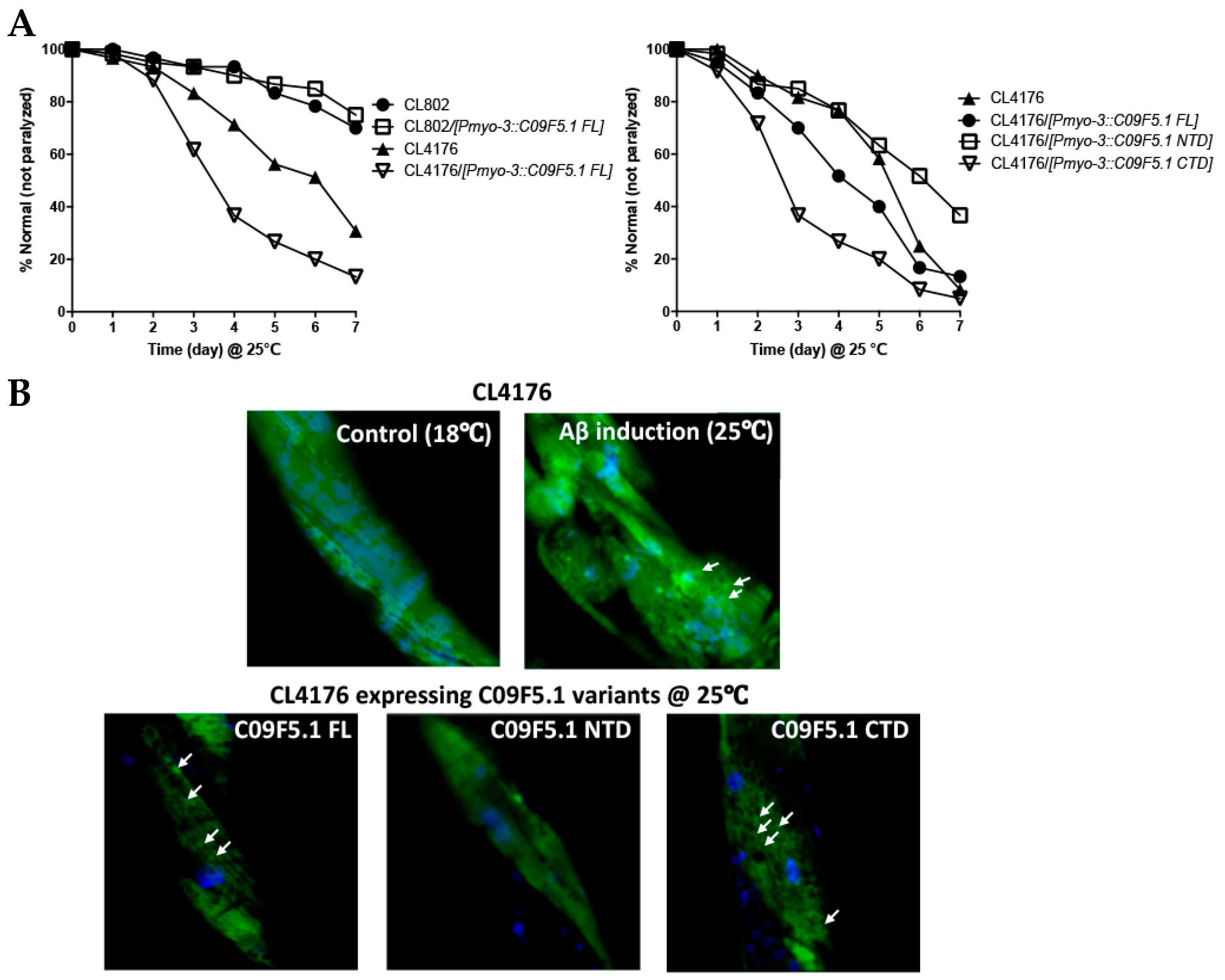 Genes 09 00160 g005a Genes 09 00160 g005a