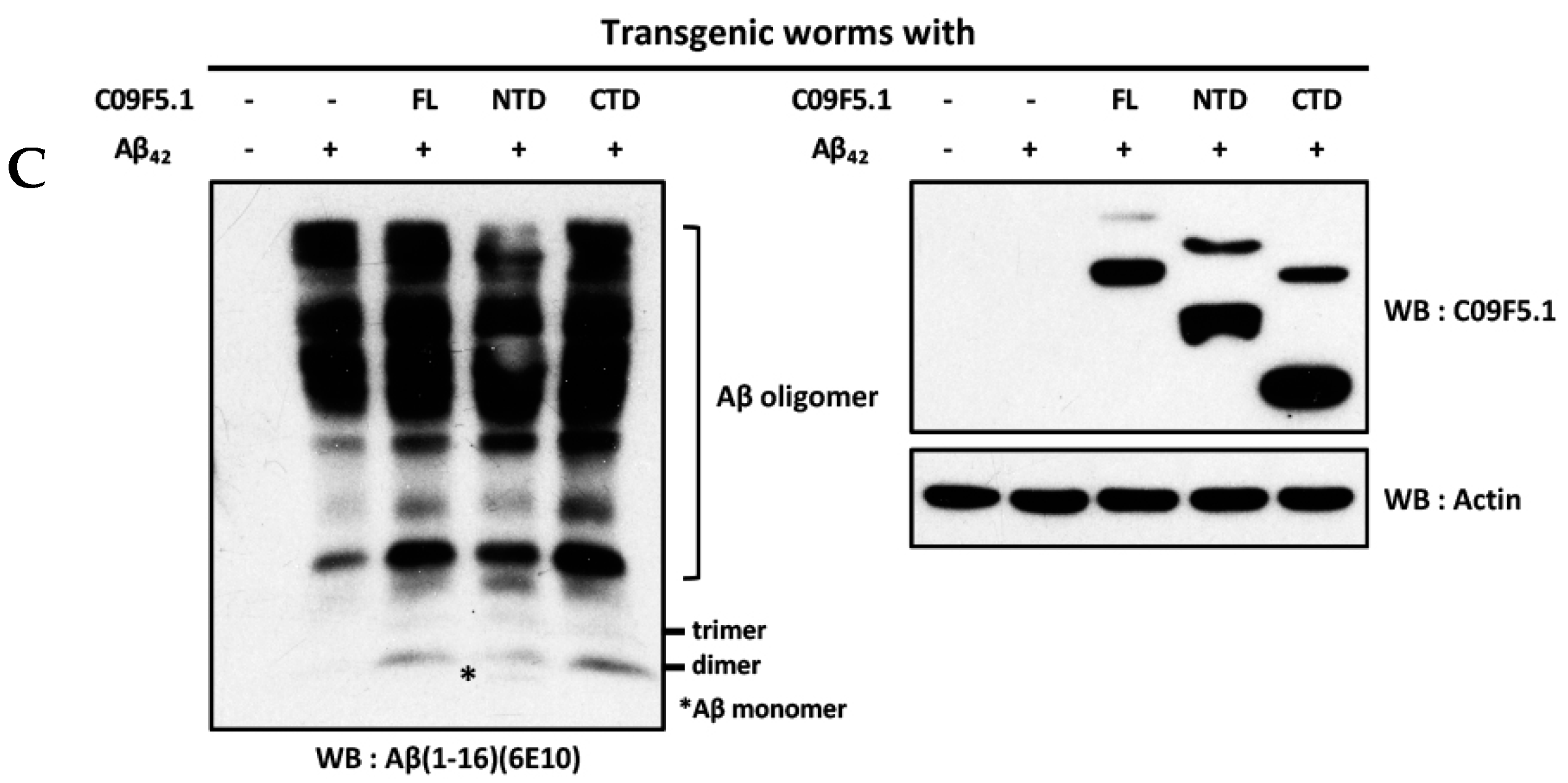 Genes 09 00160 g005b Genes 09 00160 g005b