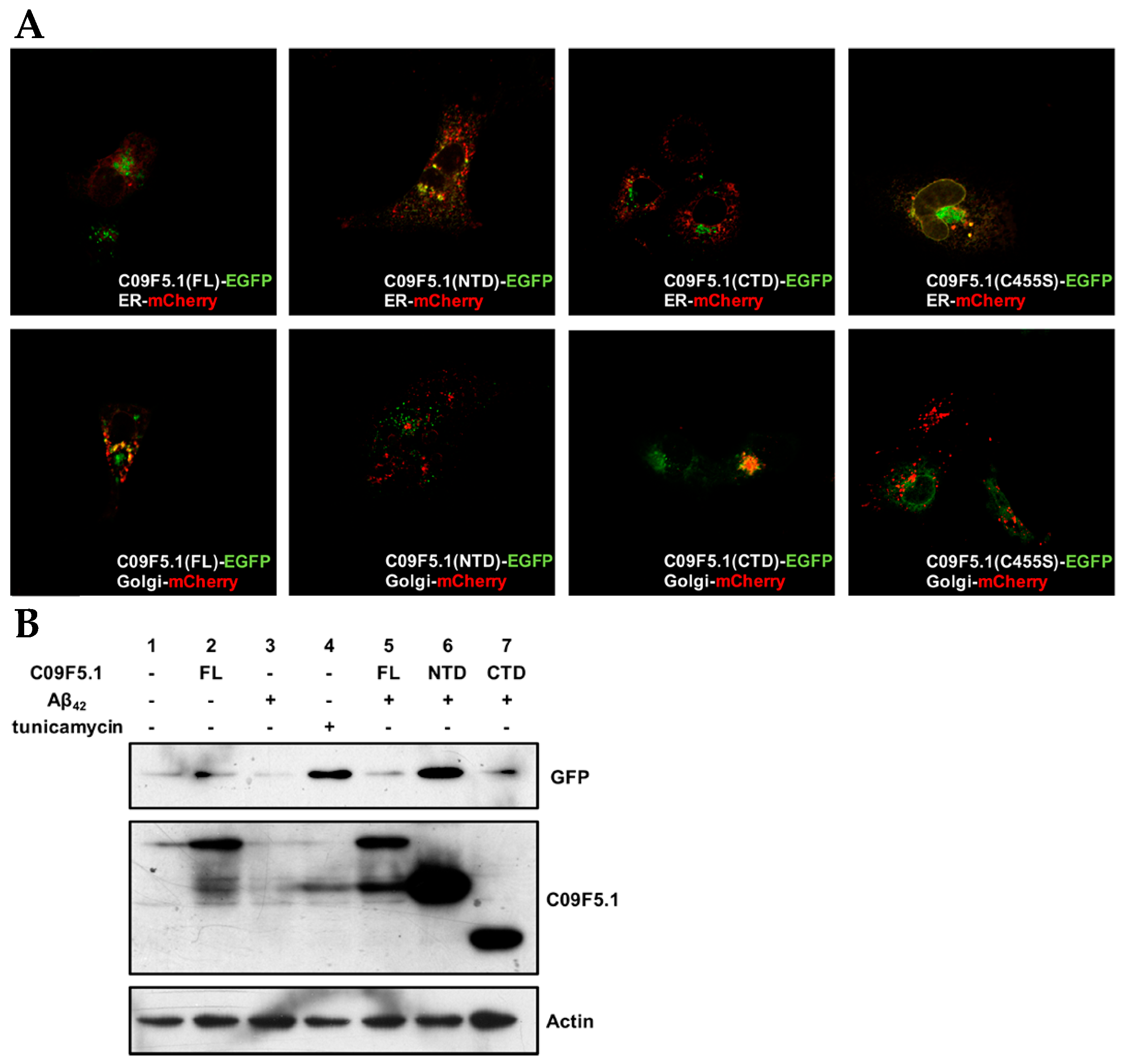 Genes 09 00160 g006 Genes 09 00160 g006