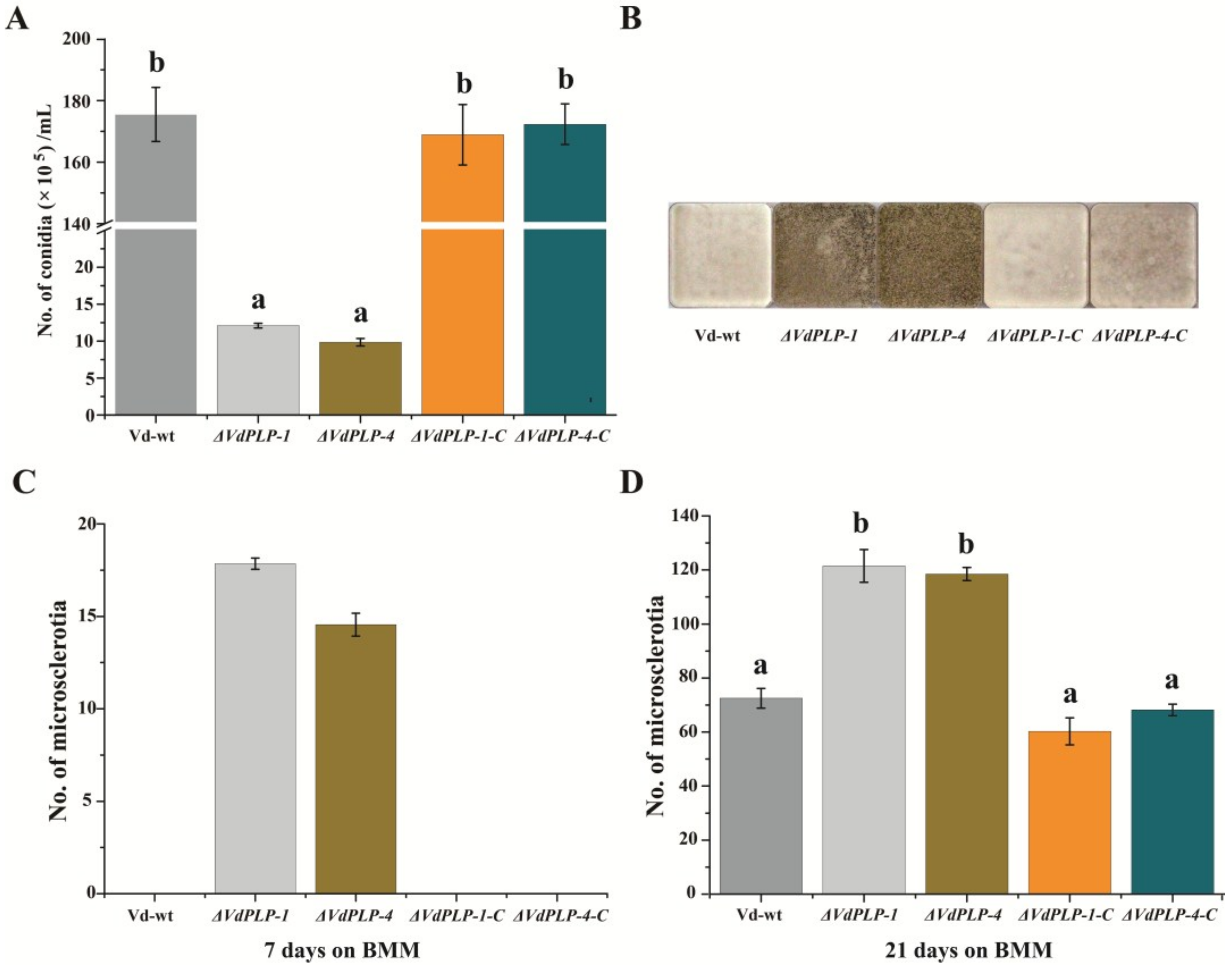 Genes 09 00162 g003 Genes 09 00162 g003