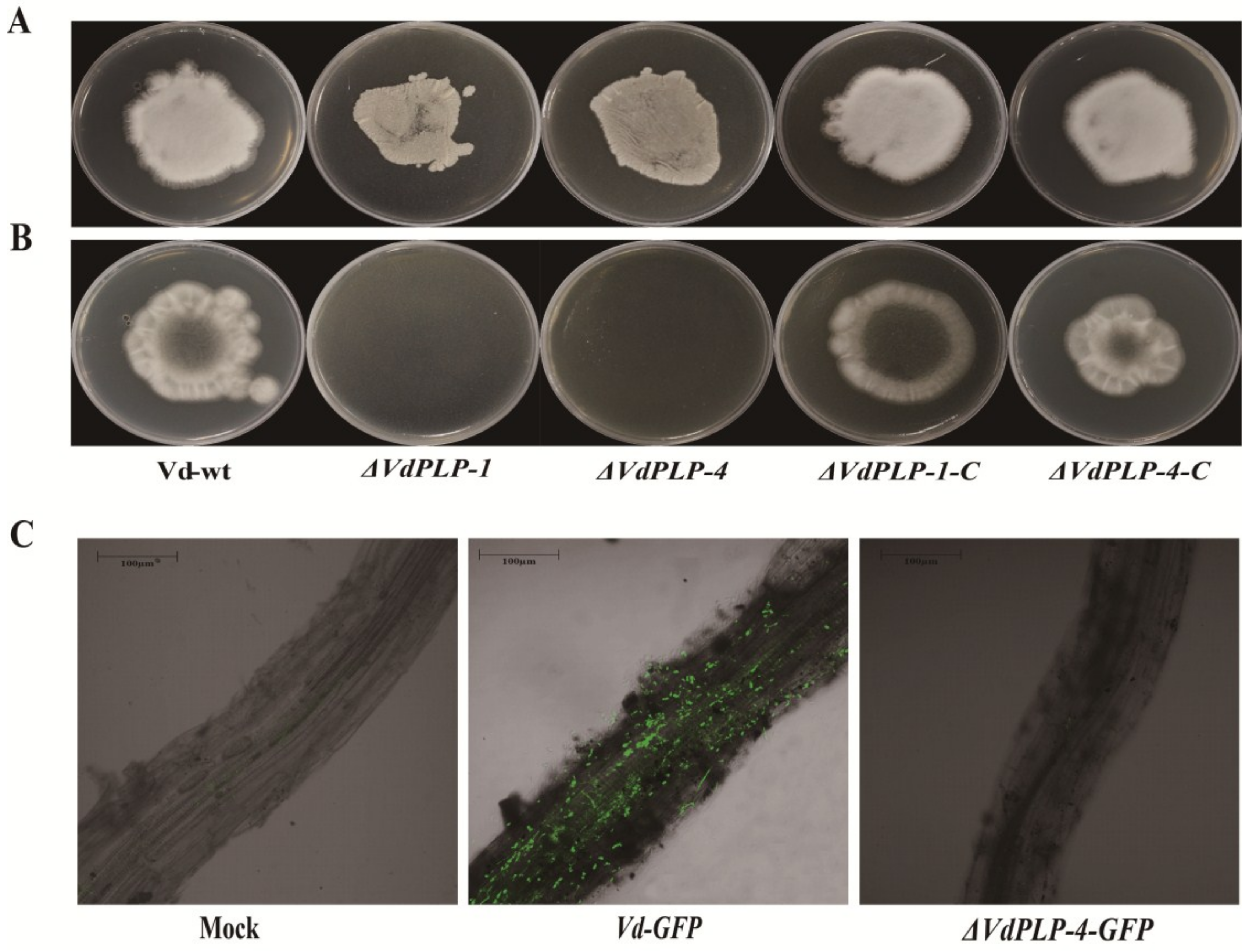 Genes 09 00162 g006 Genes 09 00162 g006