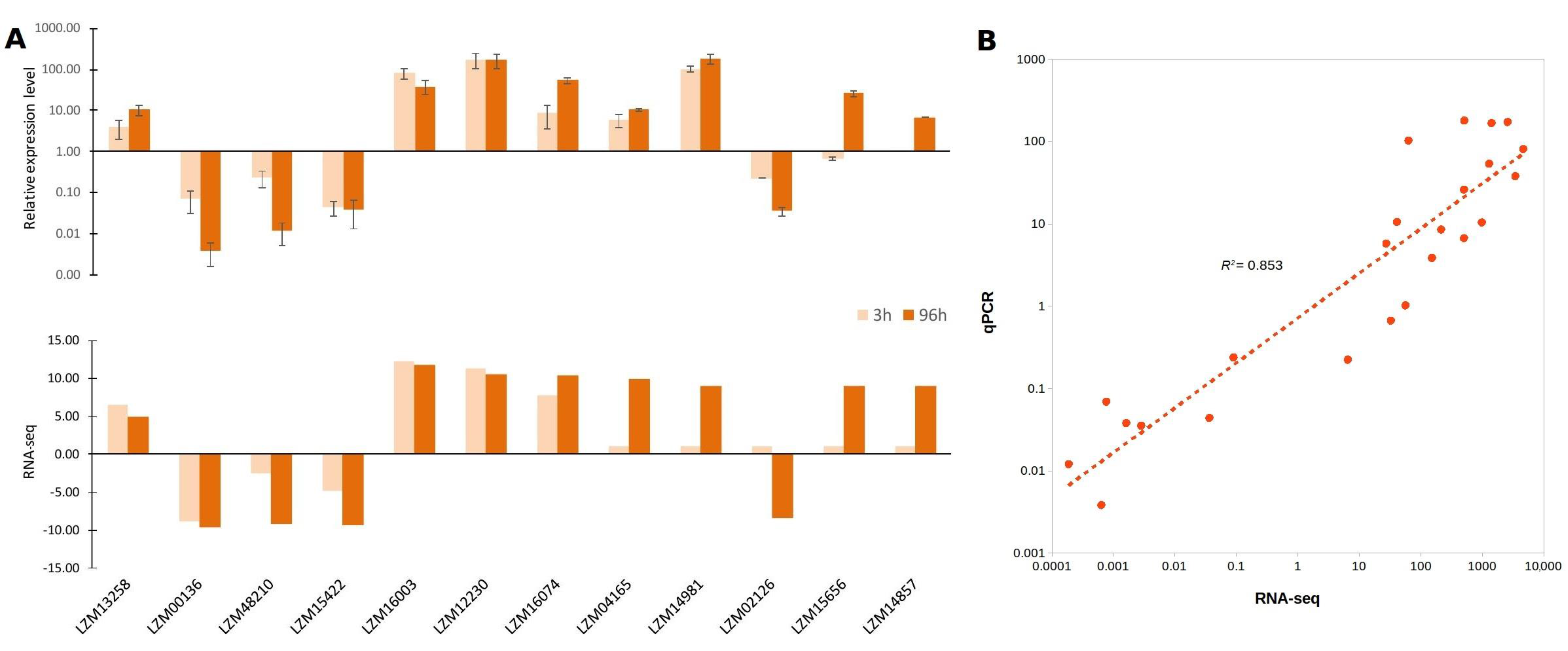 Genes 09 00170 g006 Genes 09 00170 g006
