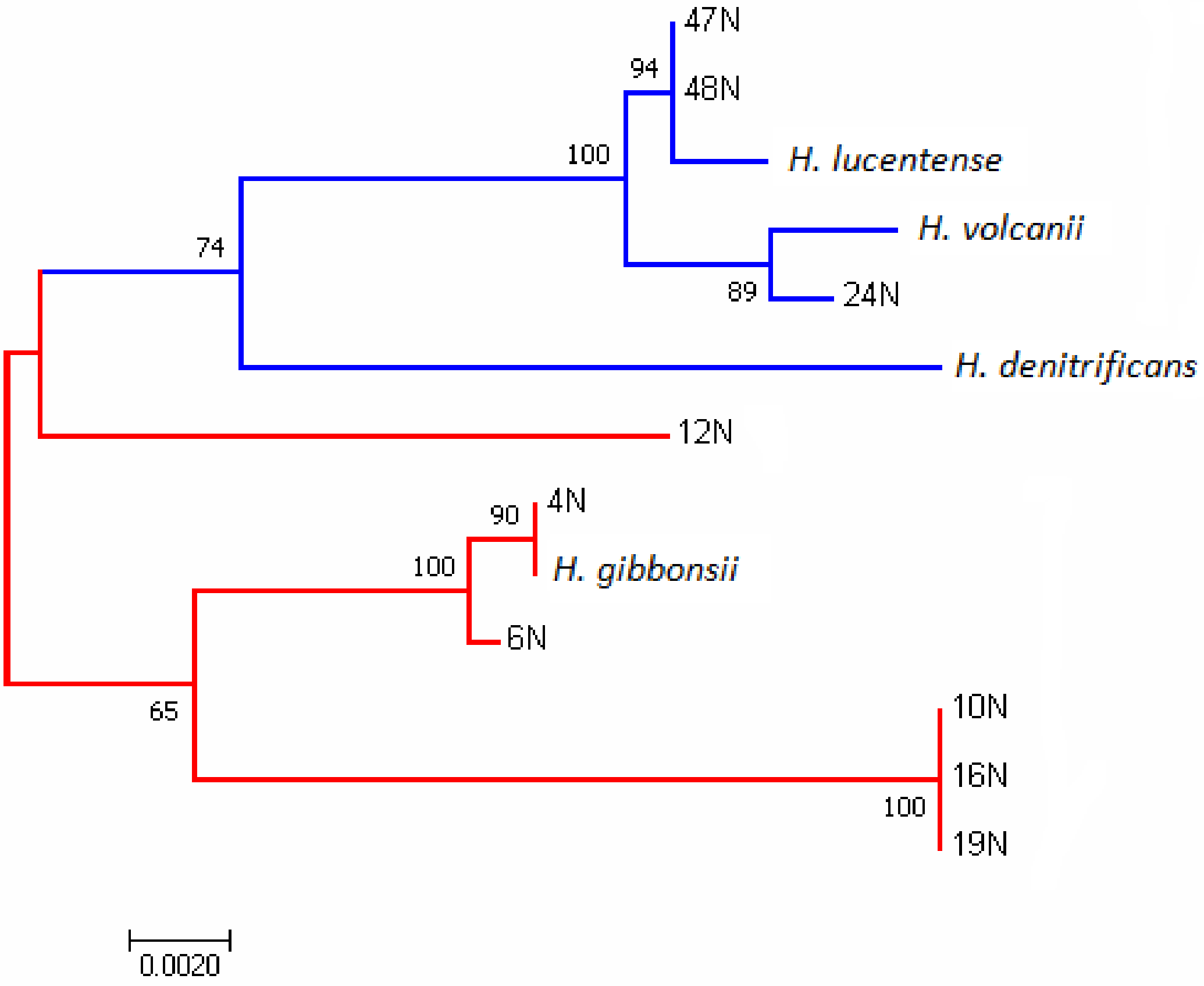Genes 09 00172 g001 Genes 09 00172 g001