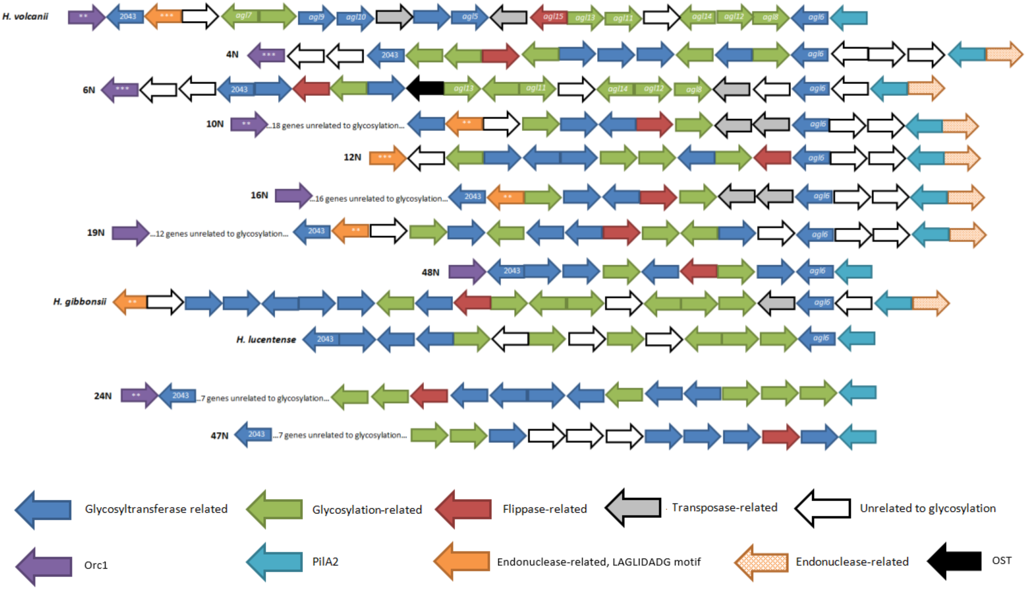 Genes 09 00172 g005 Genes 09 00172 g005