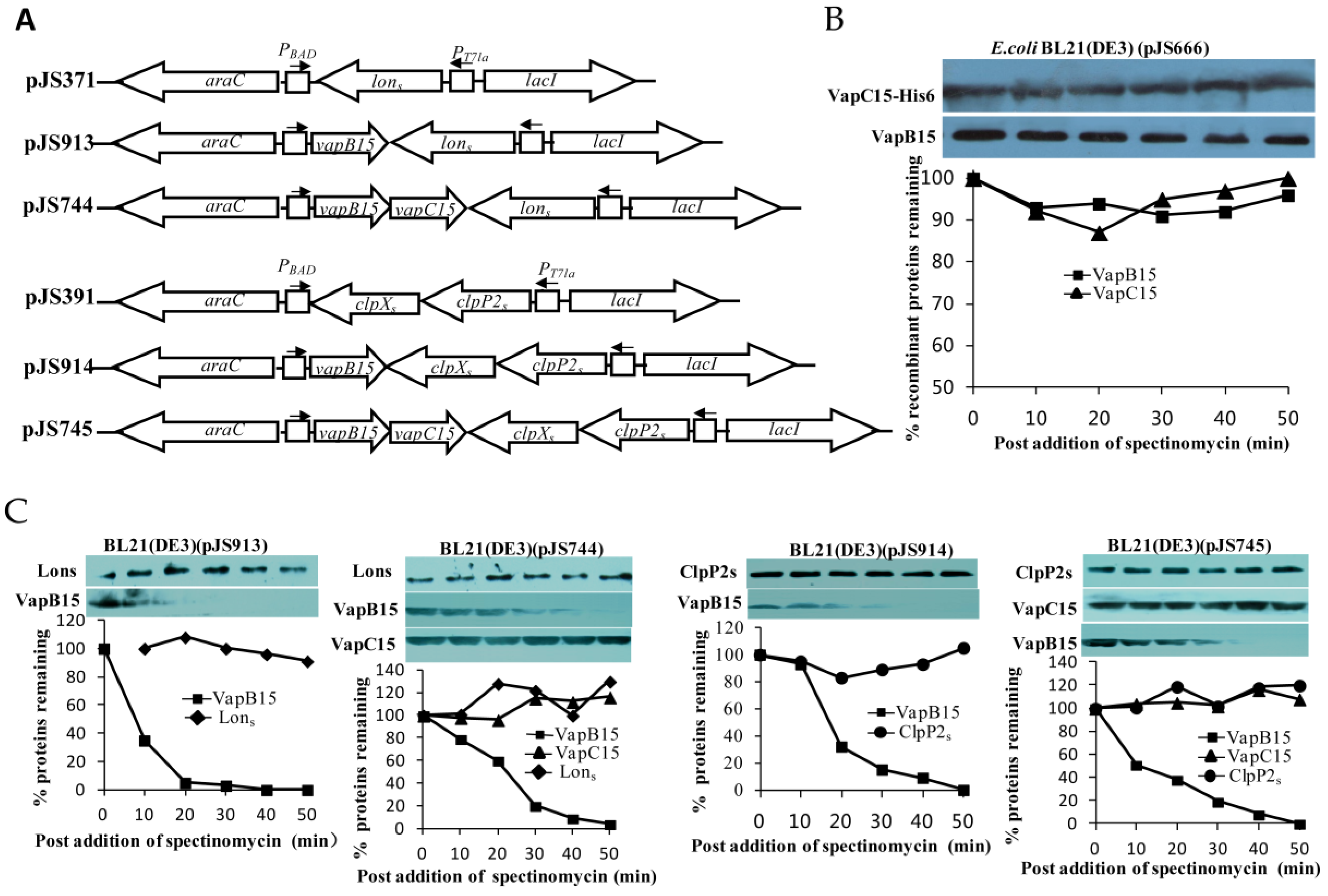 Genes 09 00173 g005 550