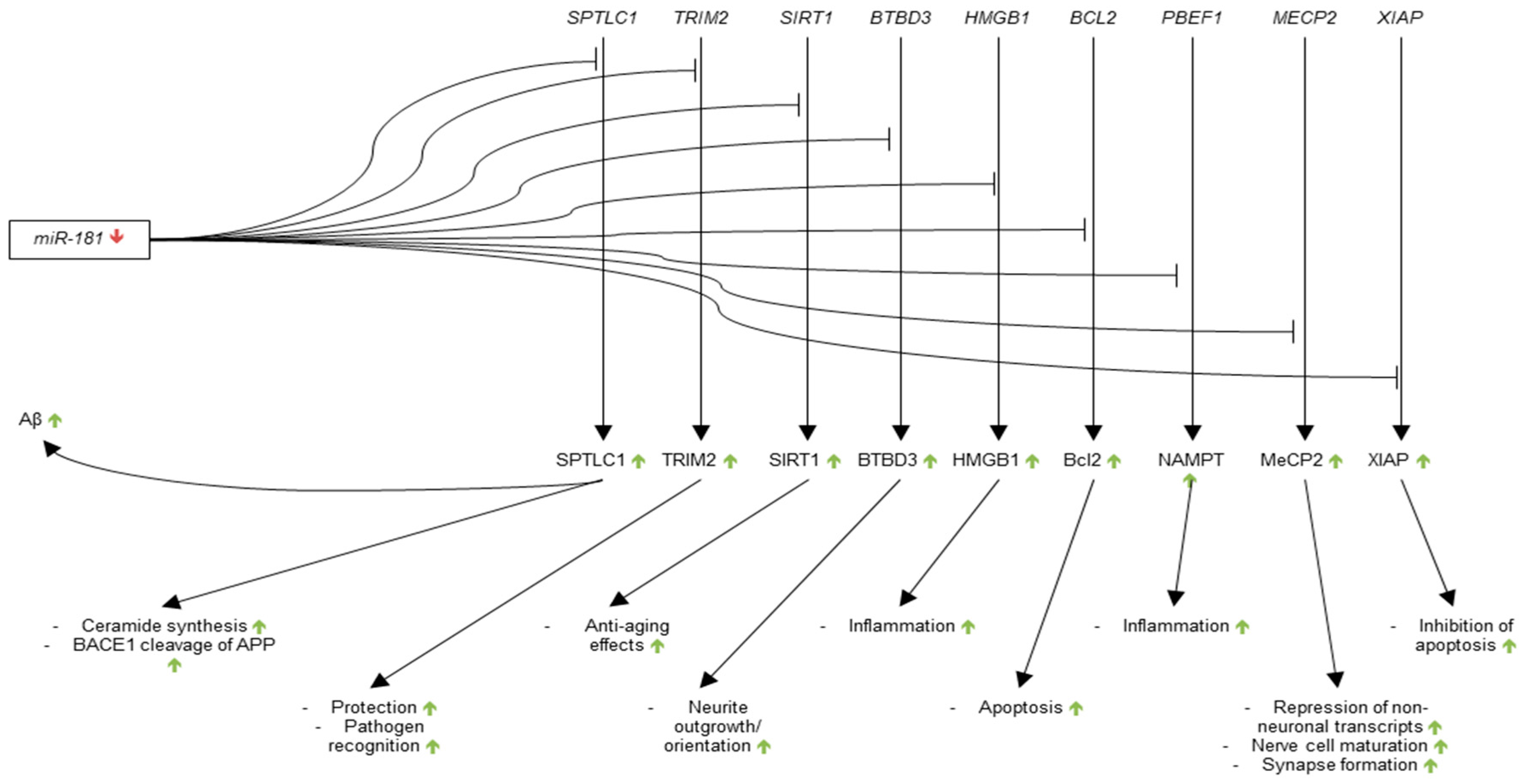 Genes 09 00174 g003 Genes 09 00174 g003