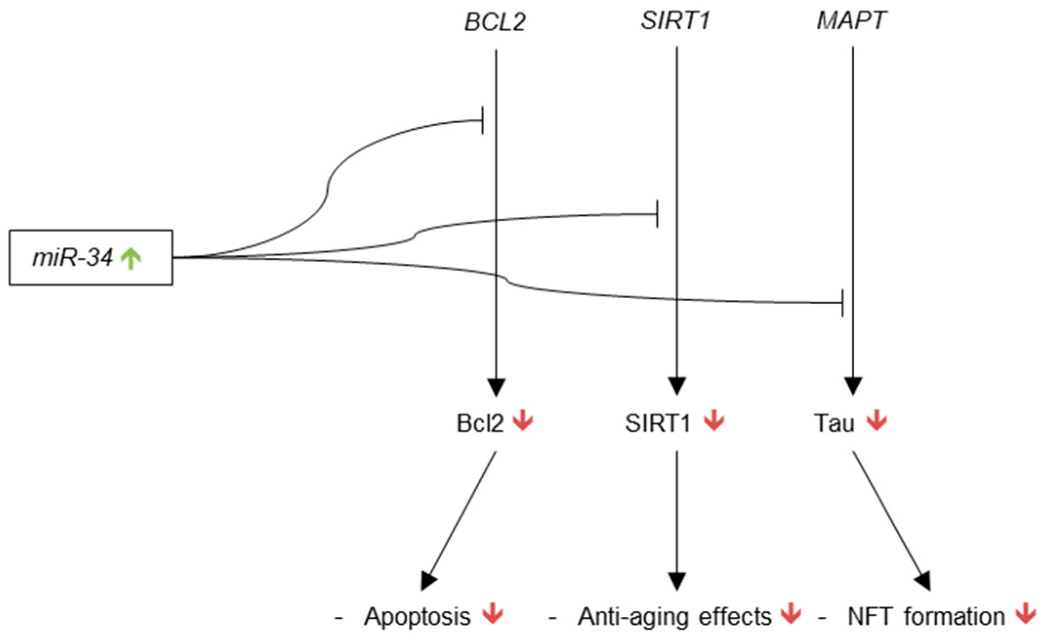 Genes 09 00174 g005 Genes 09 00174 g005