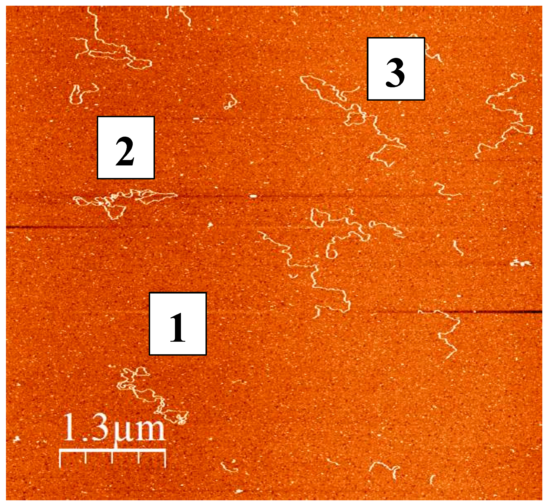 Genes 09 00175 g001 Genes 09 00175 g001