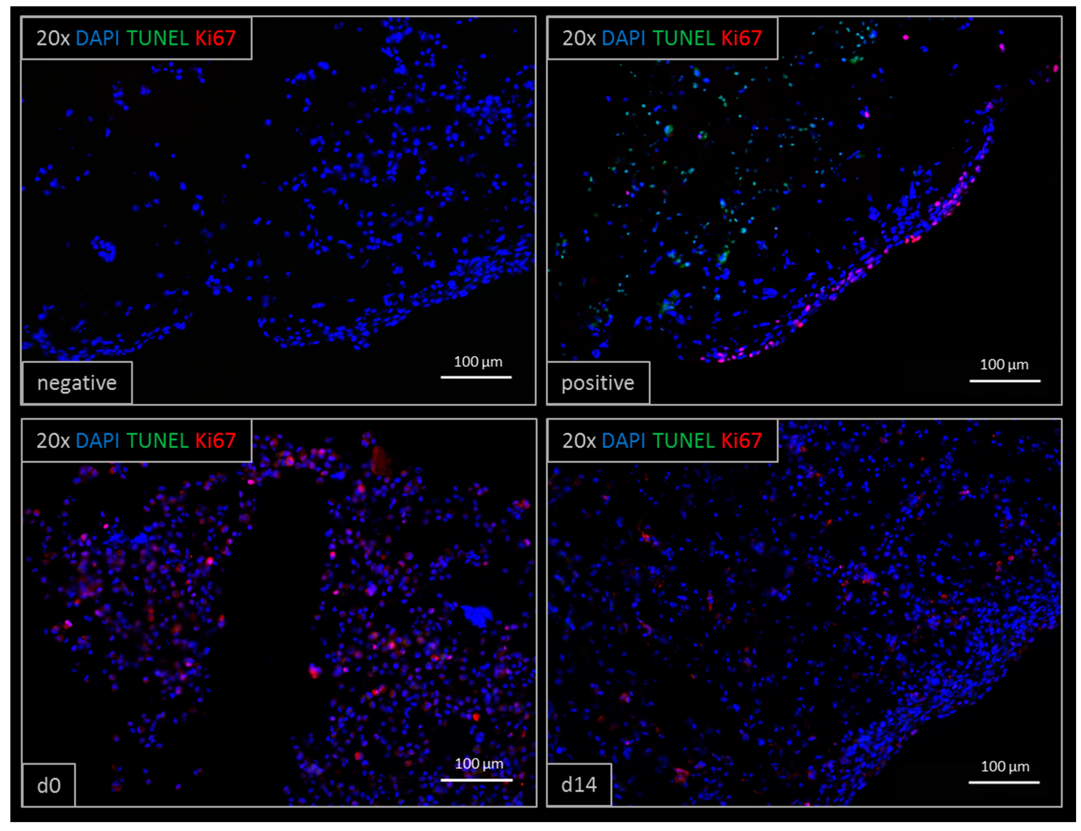 Genes 09 00176 g003