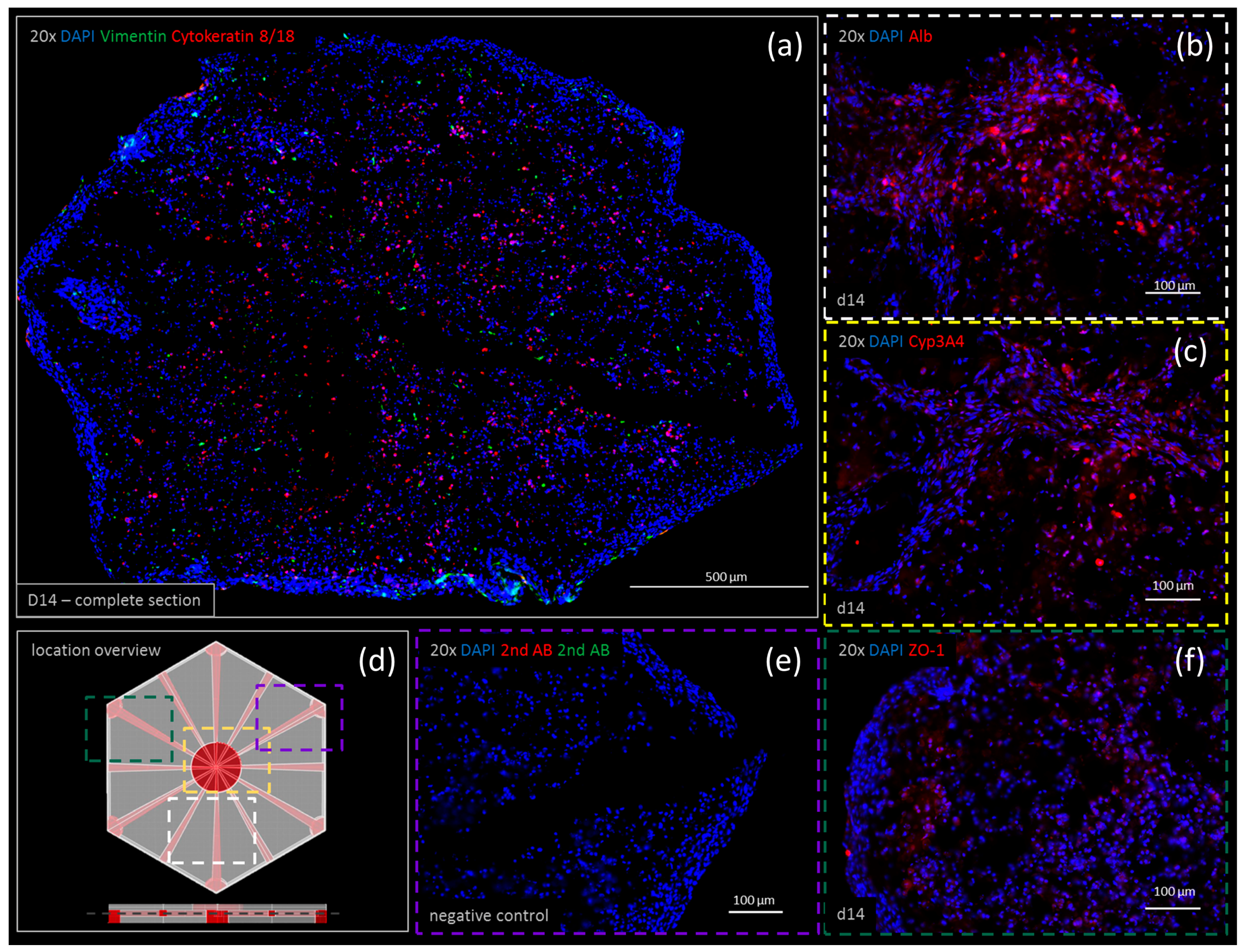 Genes 09 00176 g006