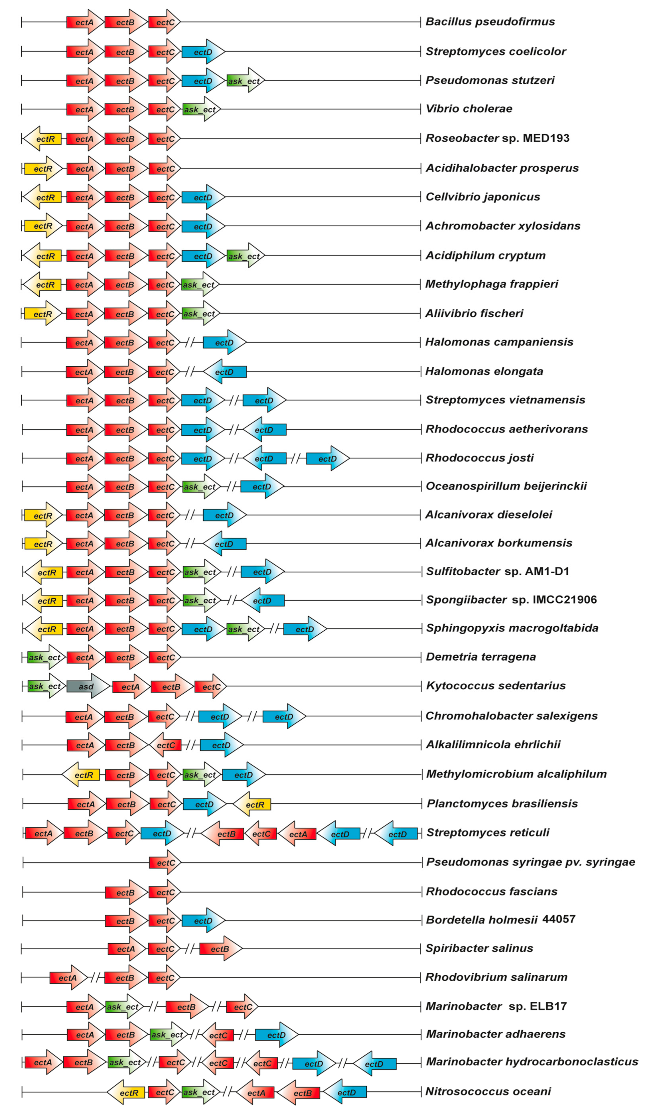 Genes 09 00177 g004 Genes 09 00177 g004