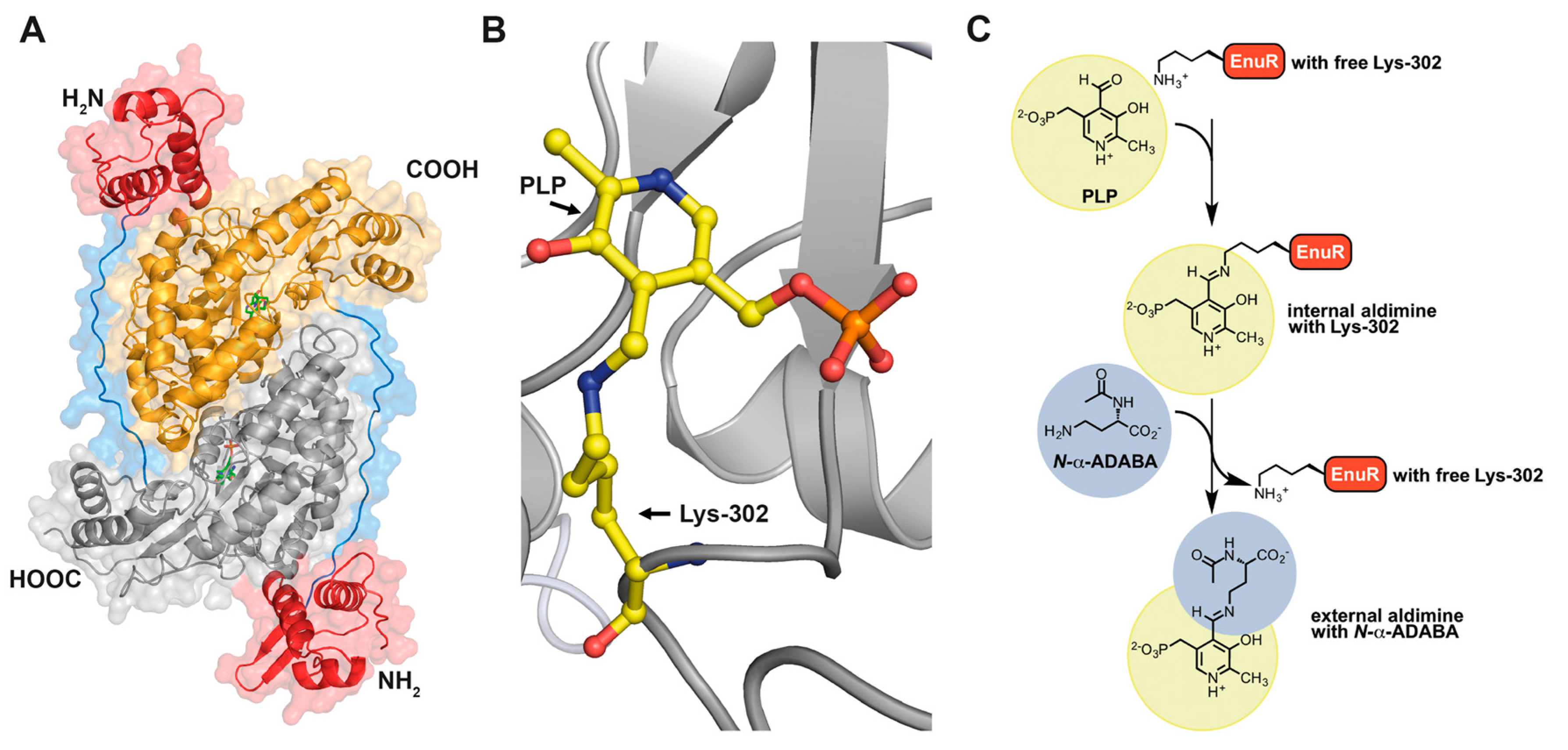 Genes 09 00177 g007 Genes 09 00177 g007