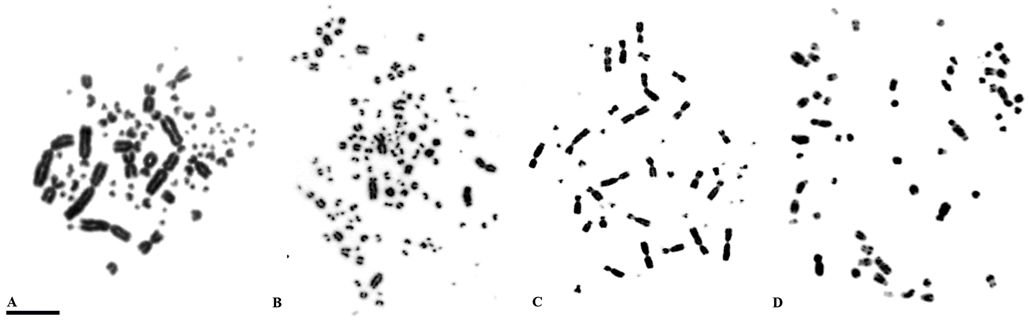 Genes 09 00181 g001 Genes 09 00181 g001