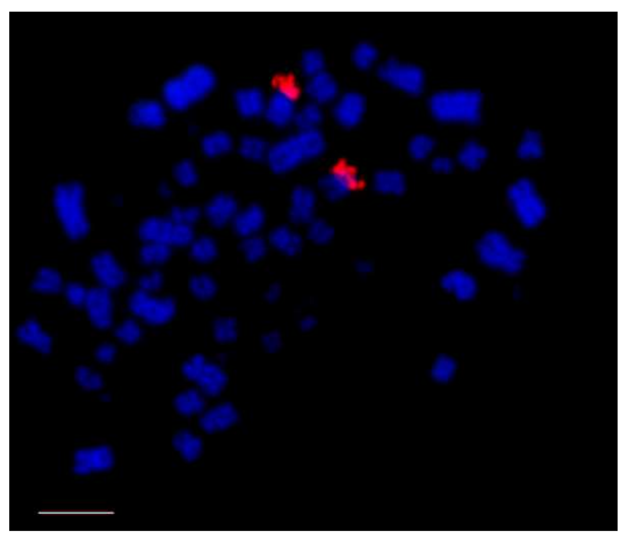 Genes 09 00181 g002 Genes 09 00181 g002