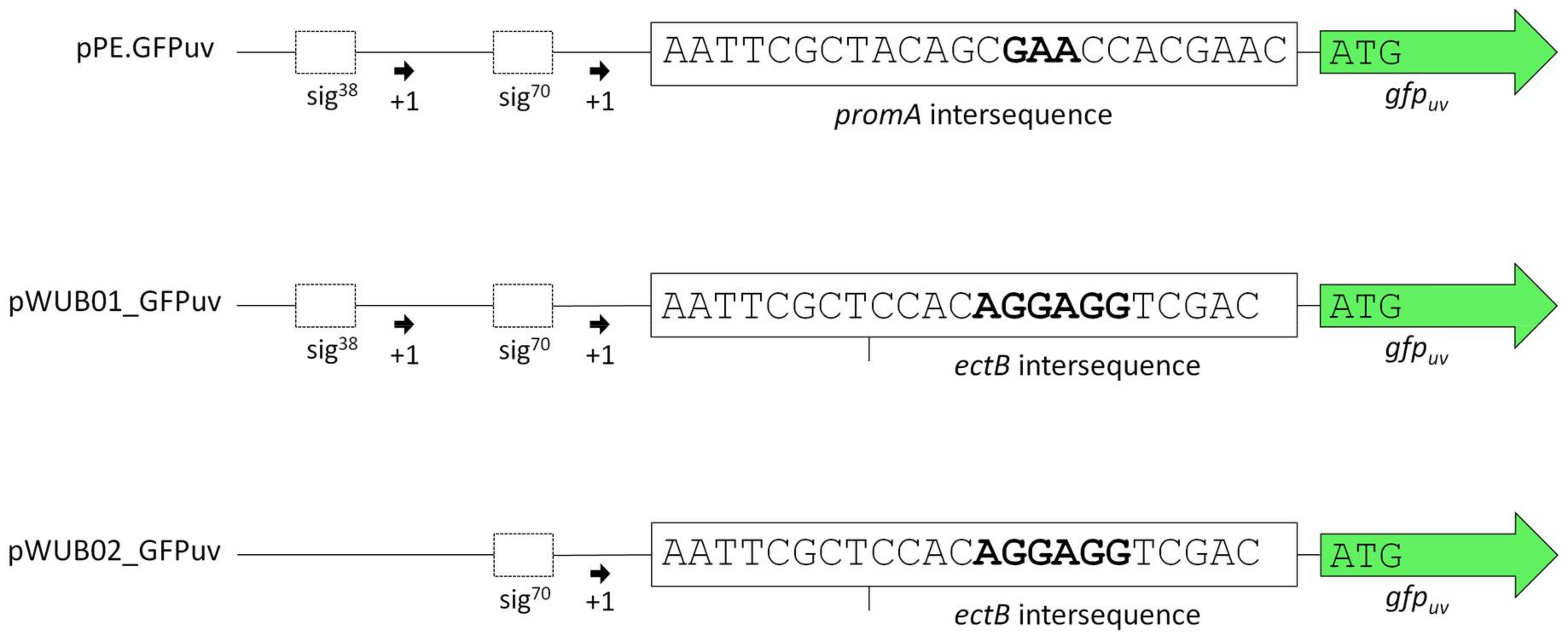 Genes 09 00184 g001 Genes 09 00184 g001