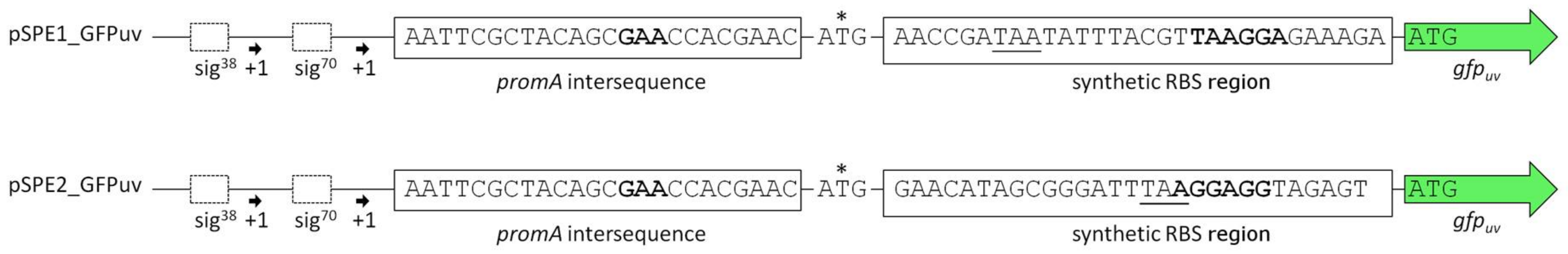 Genes 09 00184 g003 Genes 09 00184 g003