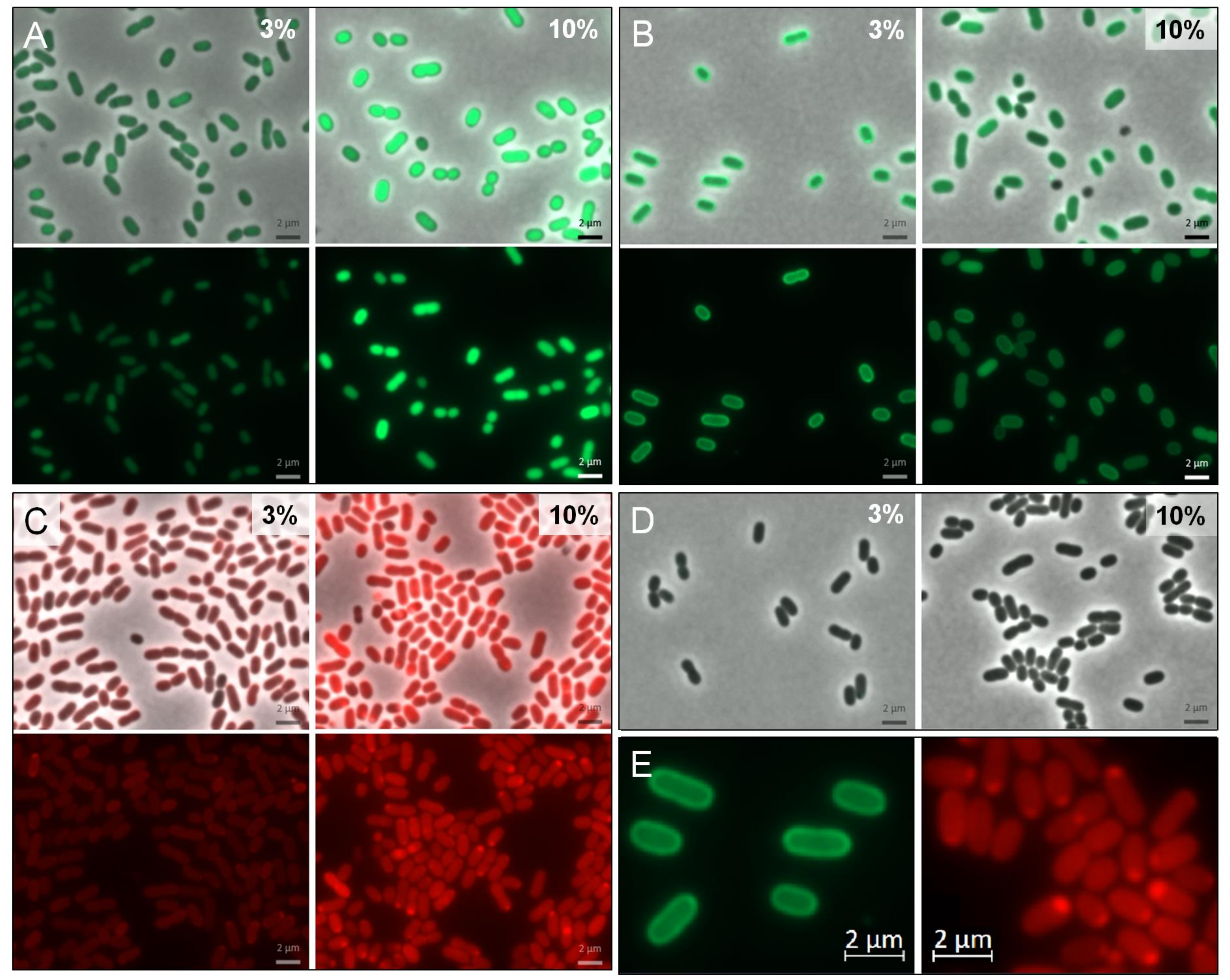 Genes 09 00184 g005 Genes 09 00184 g005