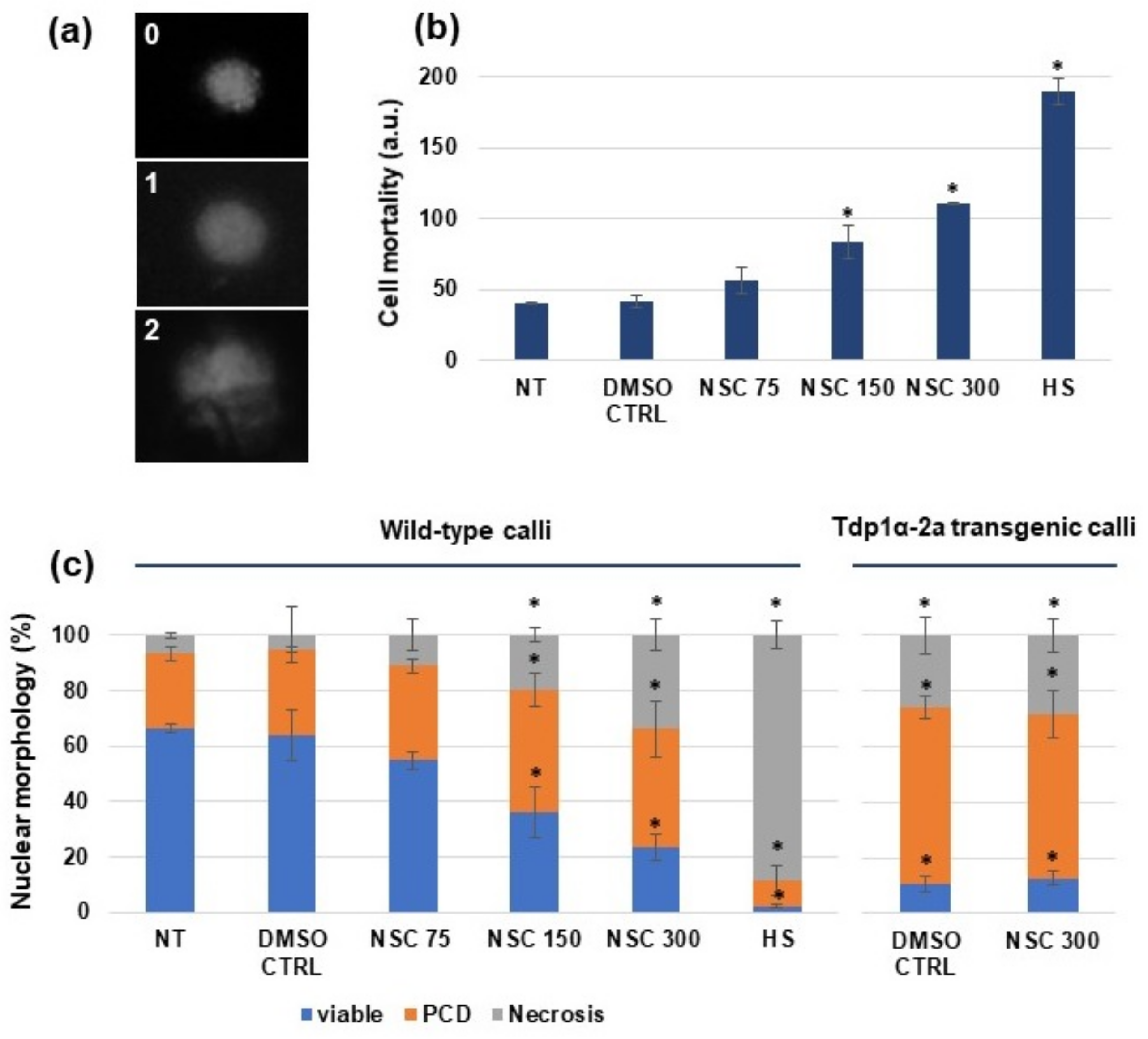 Genes 09 00186 g001 Genes 09 00186 g001