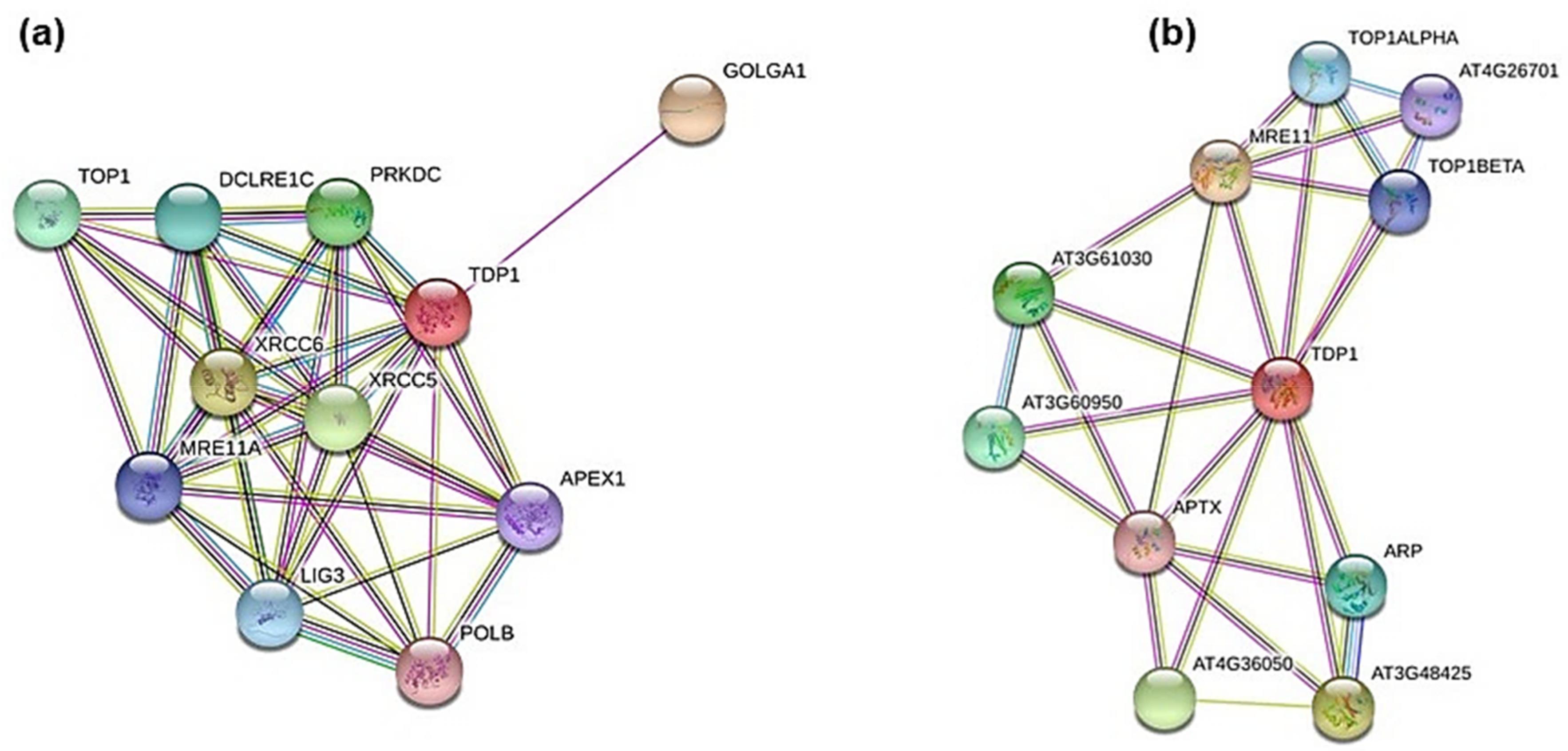 Genes 09 00186 g003 Genes 09 00186 g003