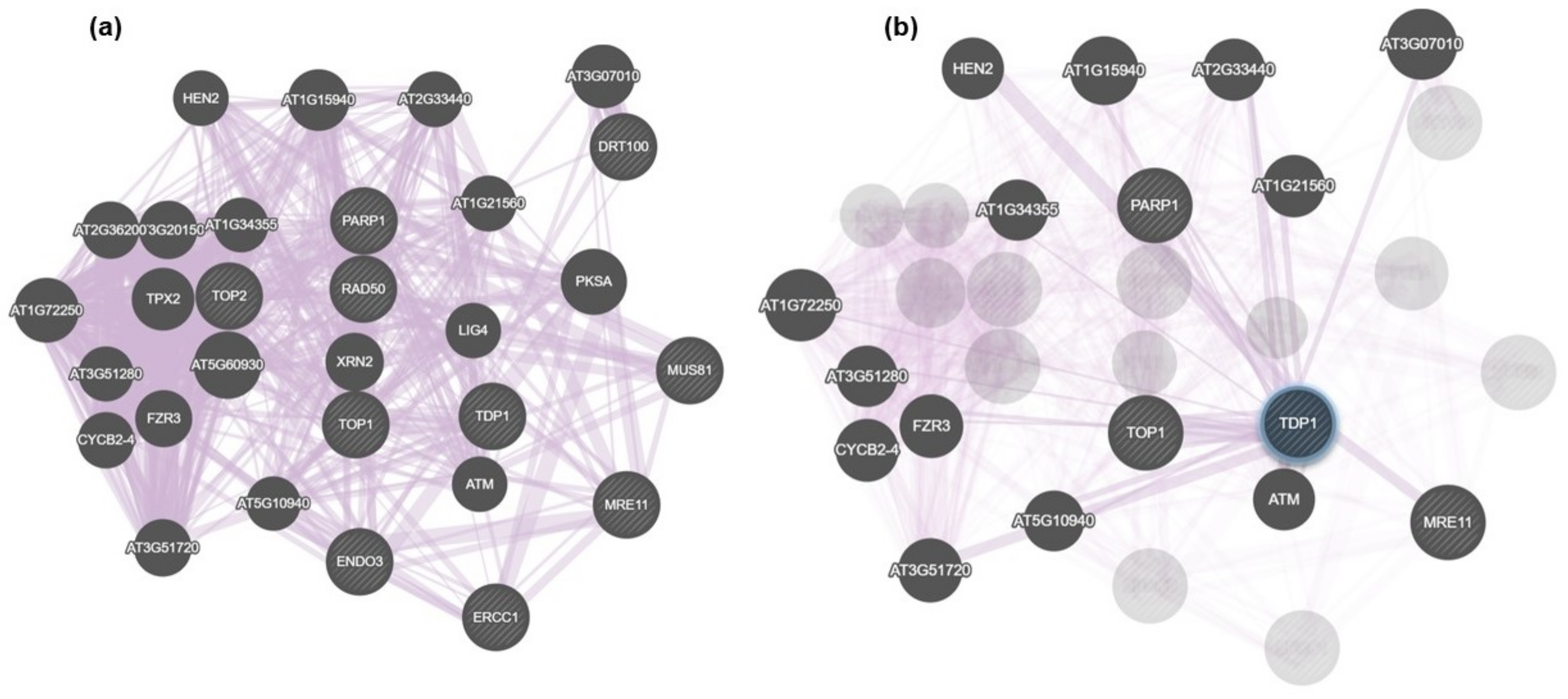 Genes 09 00186 g004 Genes 09 00186 g004
