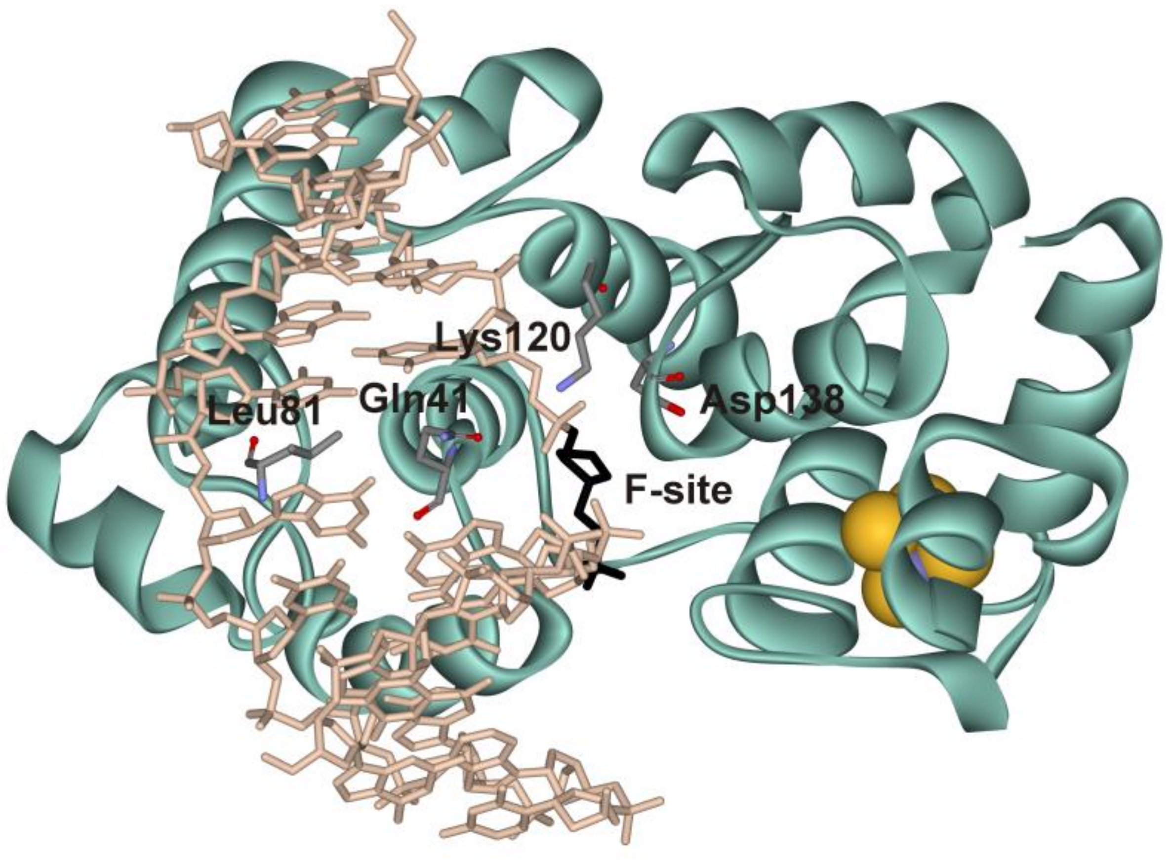 Genes 09 00190 g001 Genes 09 00190 g001