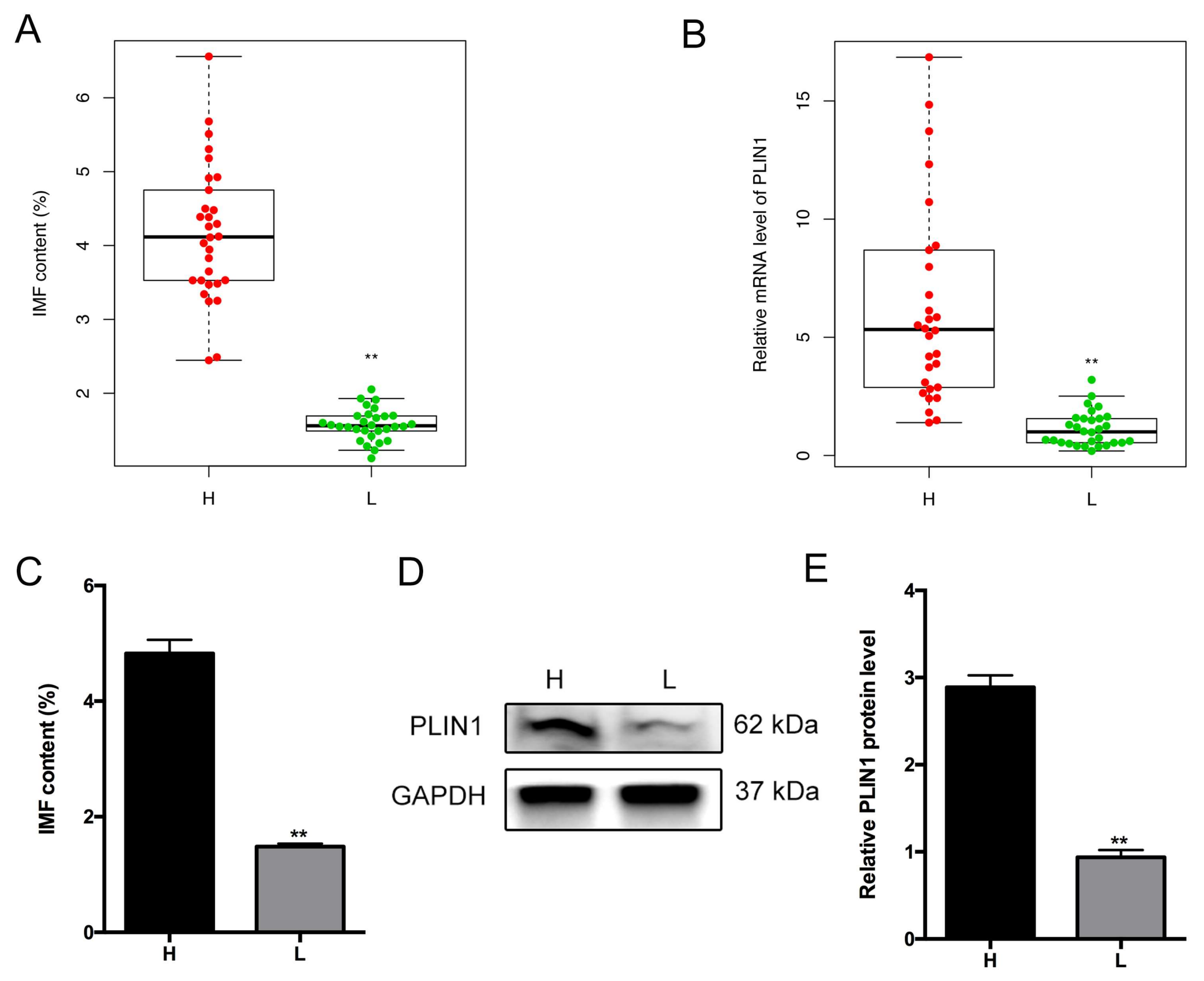 Genes 09 00194 g005