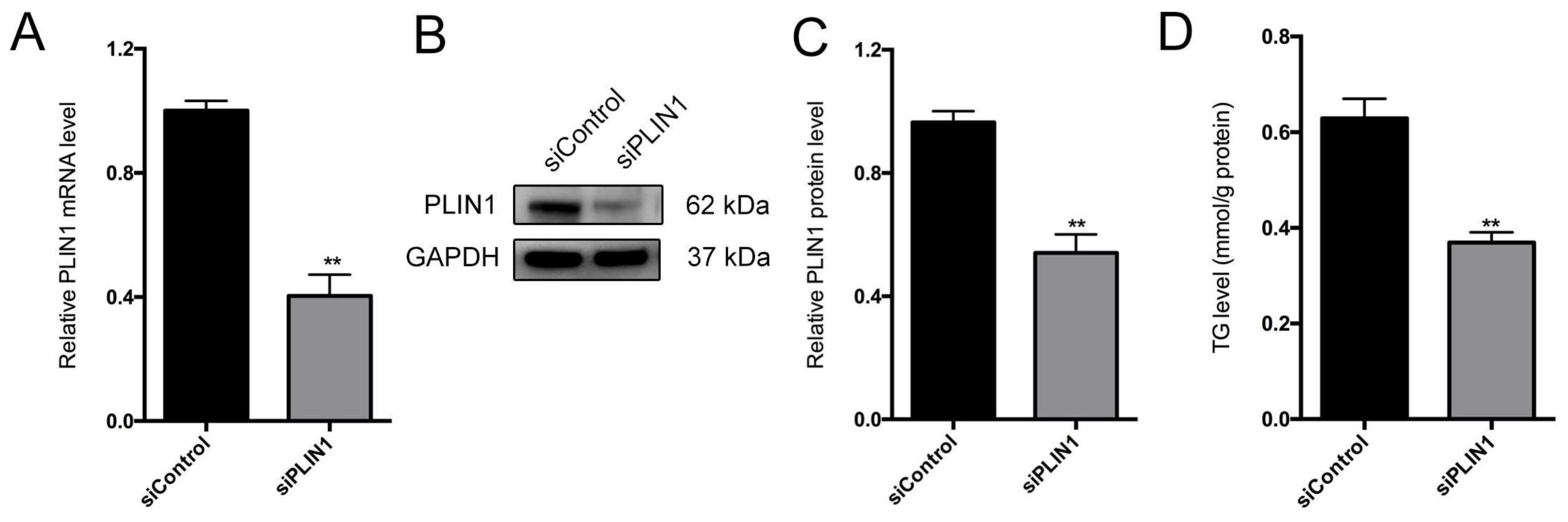 Genes 09 00194 g008a