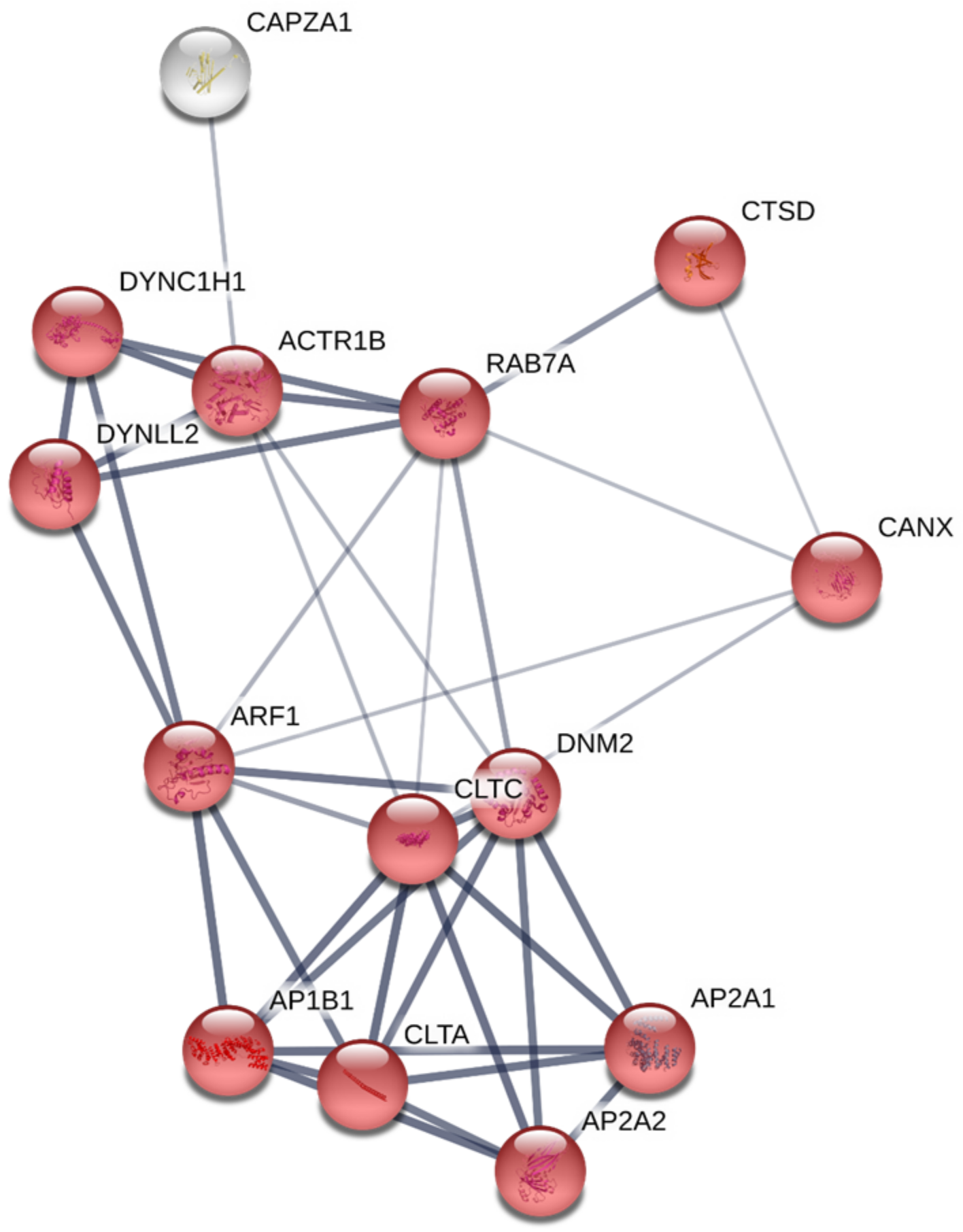 Genes 09 00202 g003