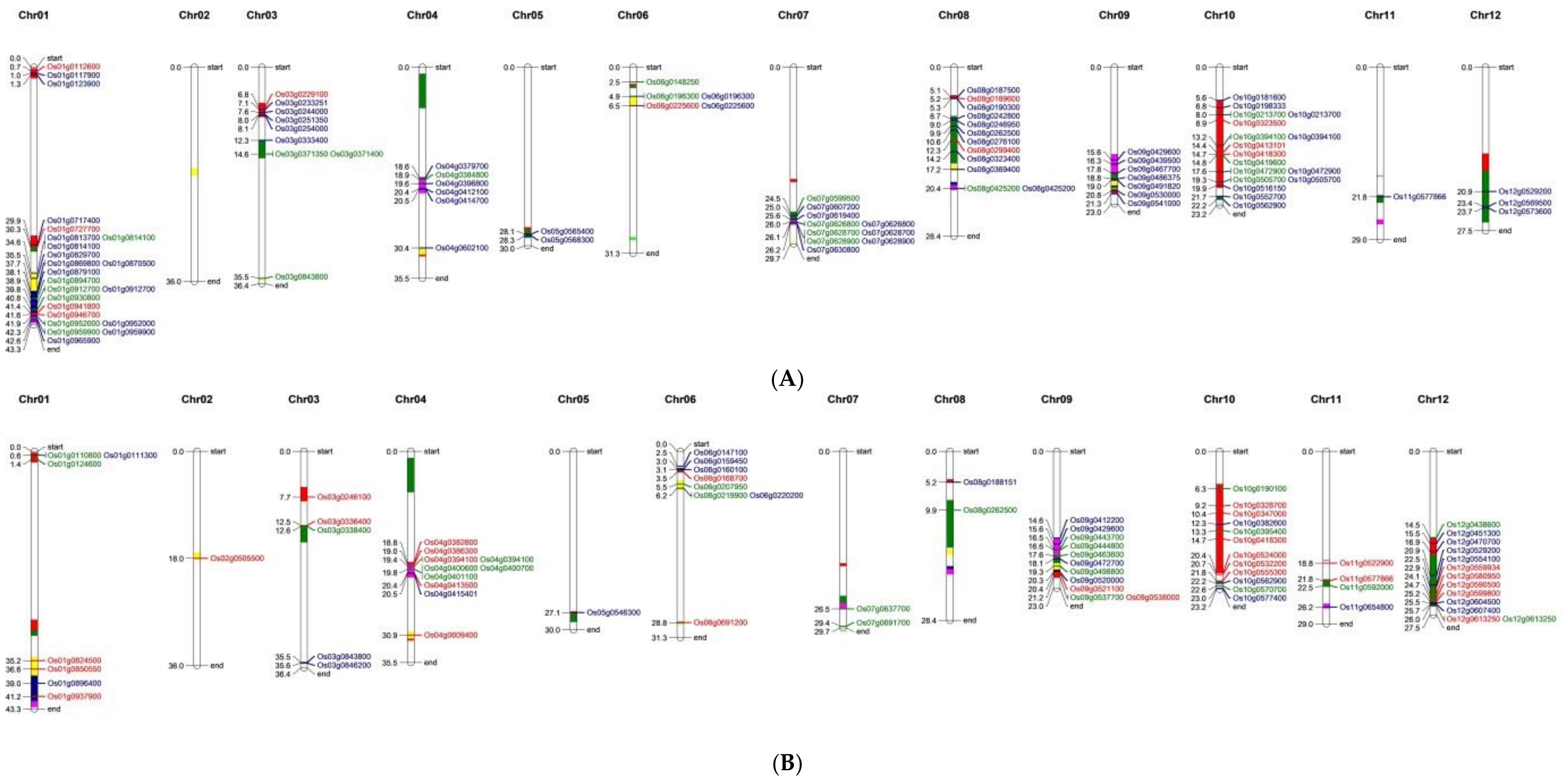 Genes 09 00206 g008