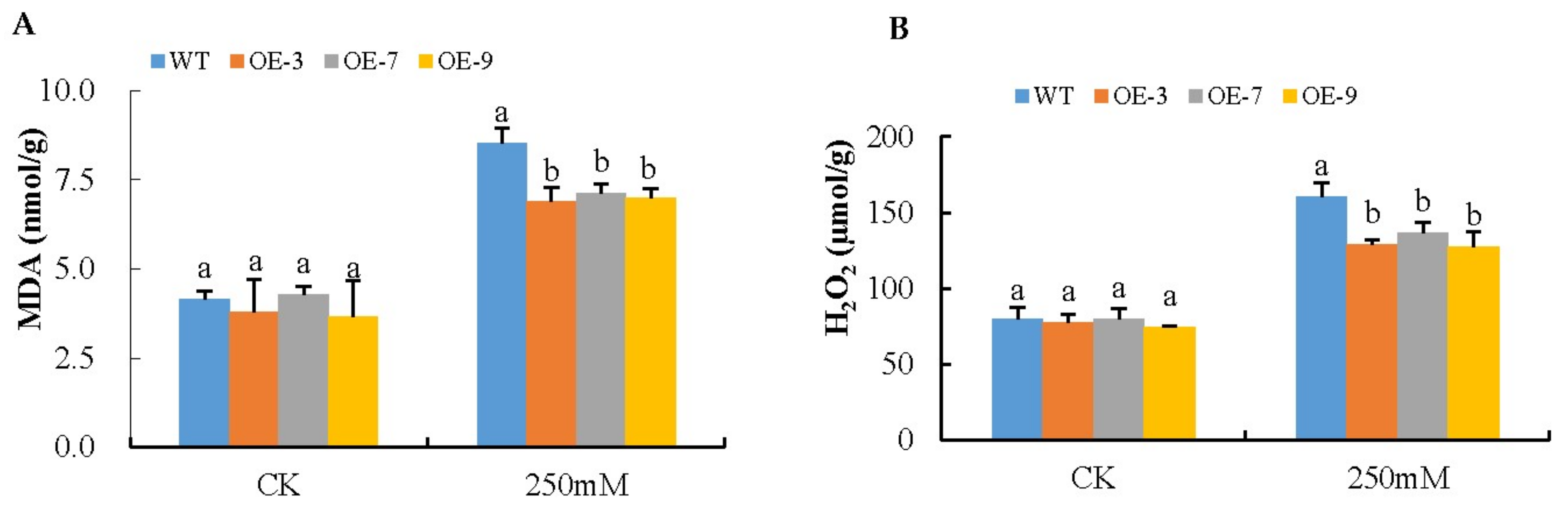 Genes 09 00209 g004