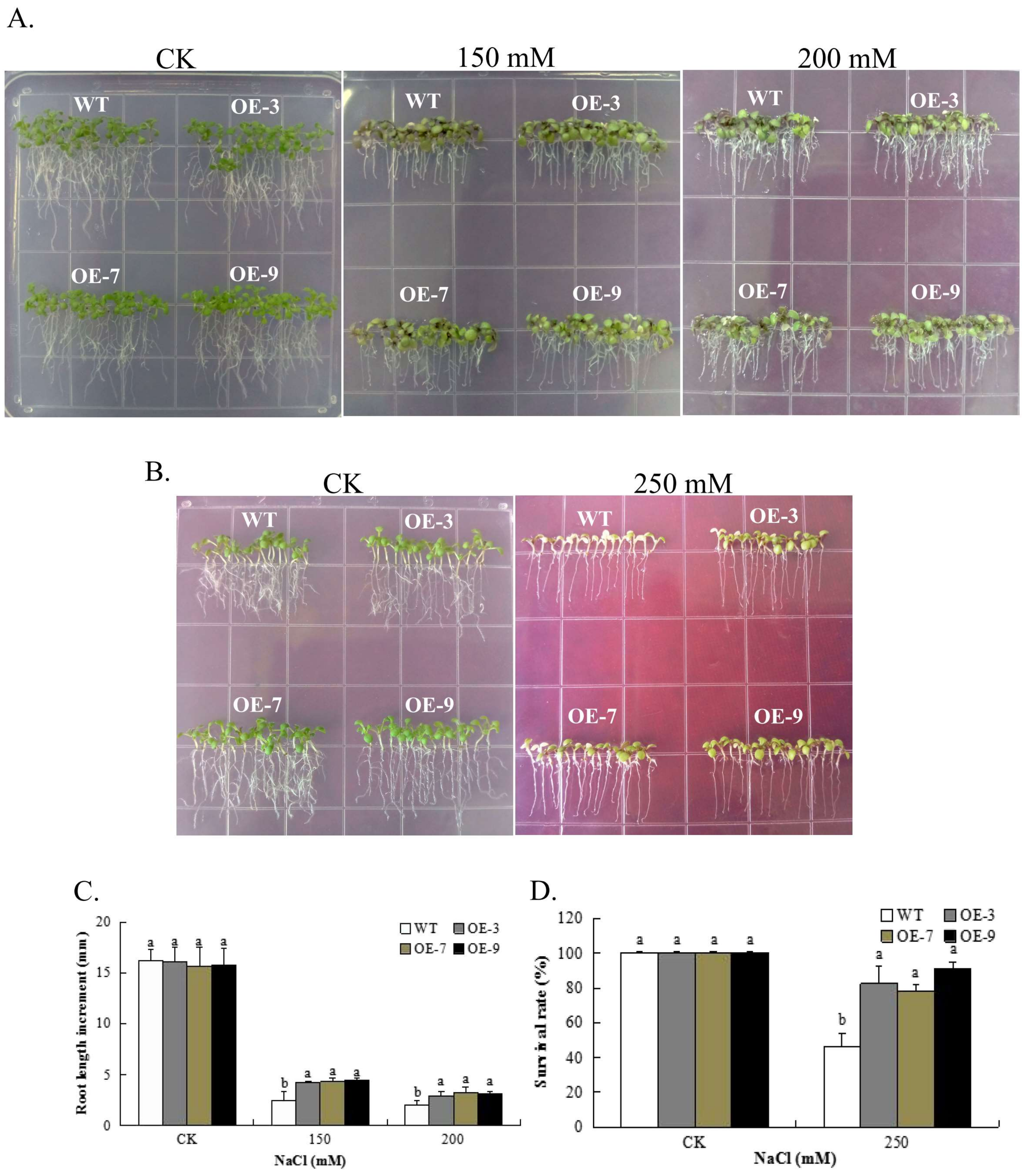 Genes 09 00209 g006