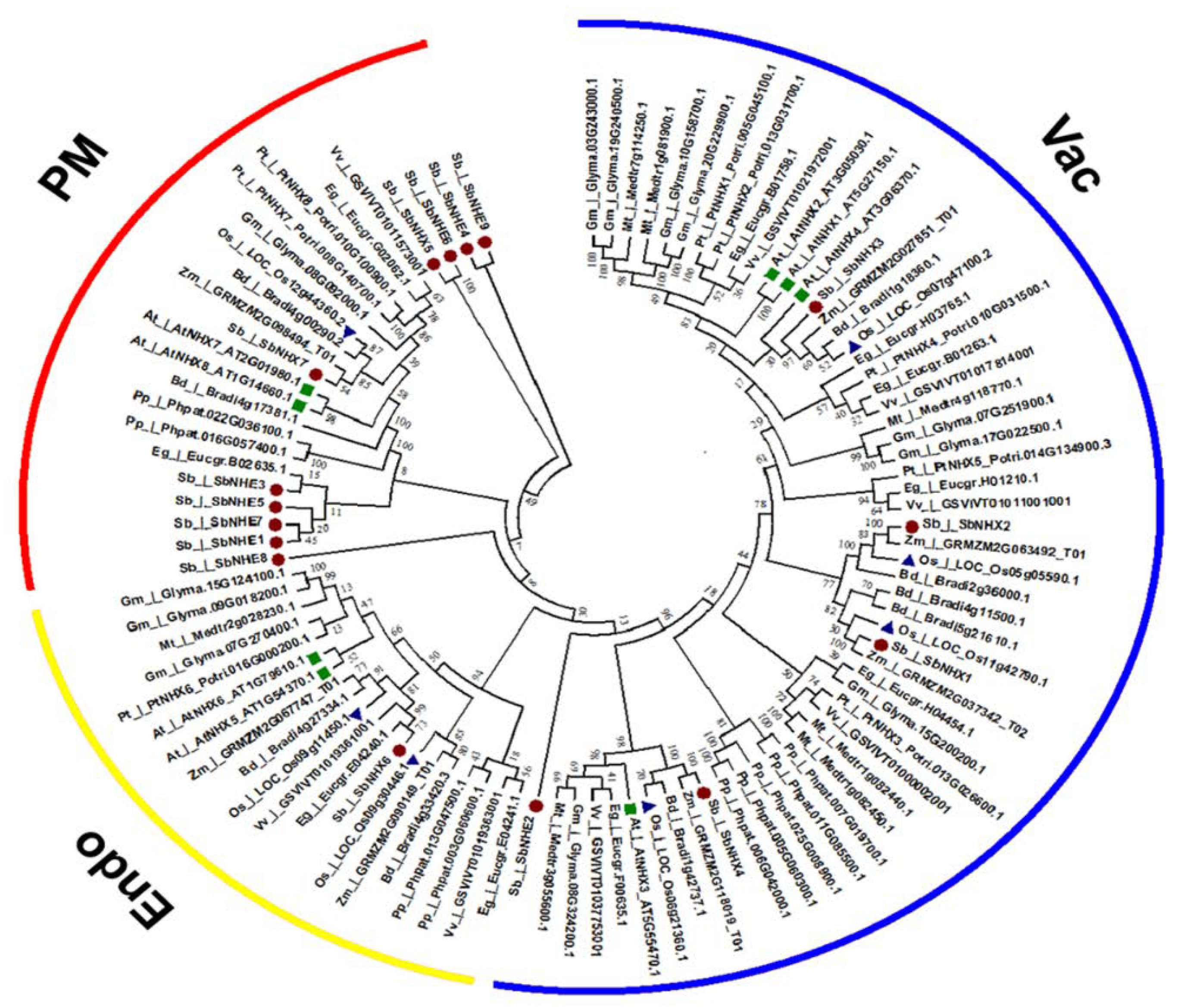 Genes 09 00236 g004 Genes 09 00236 g004
