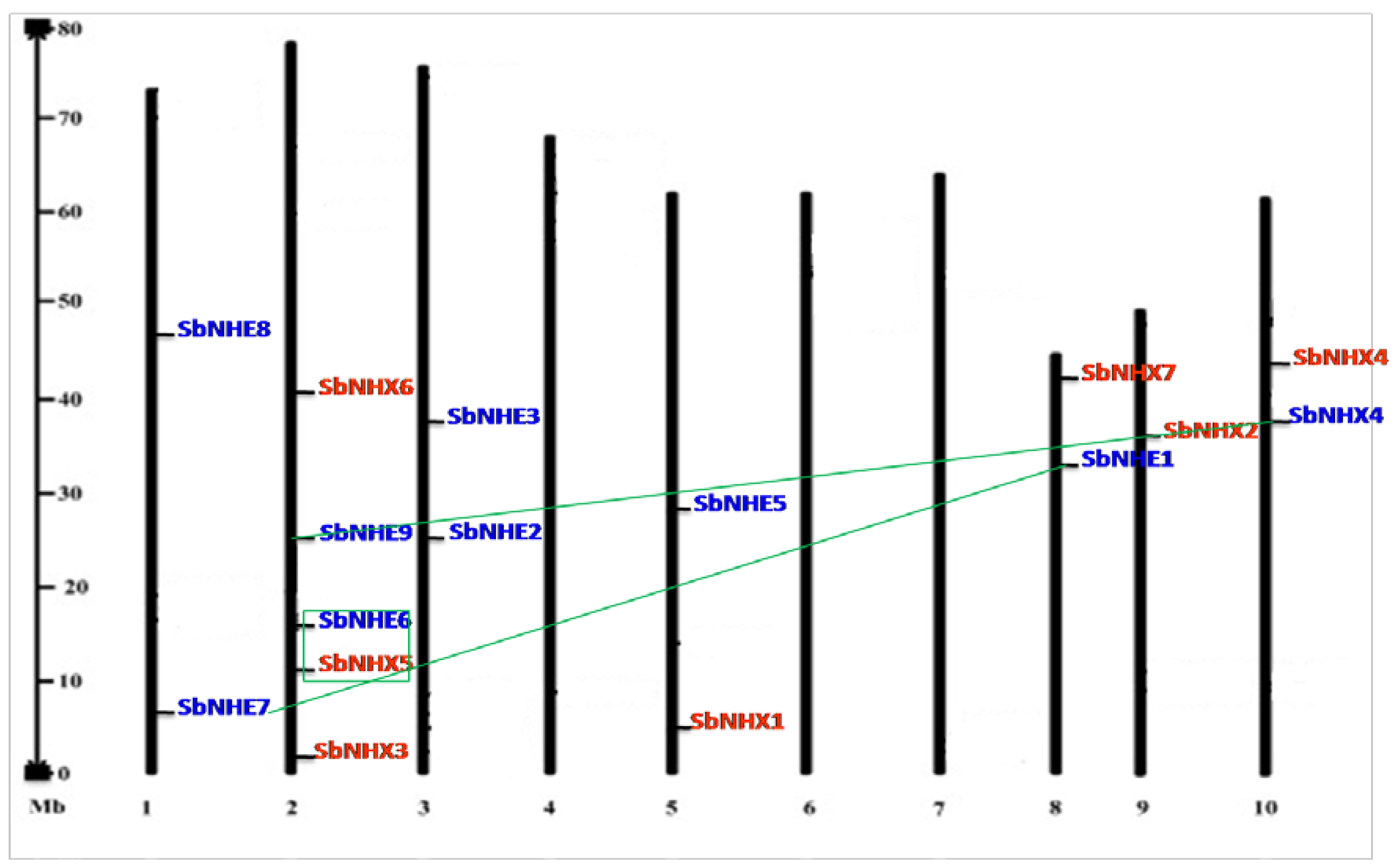 Genes 09 00236 g005 Genes 09 00236 g005
