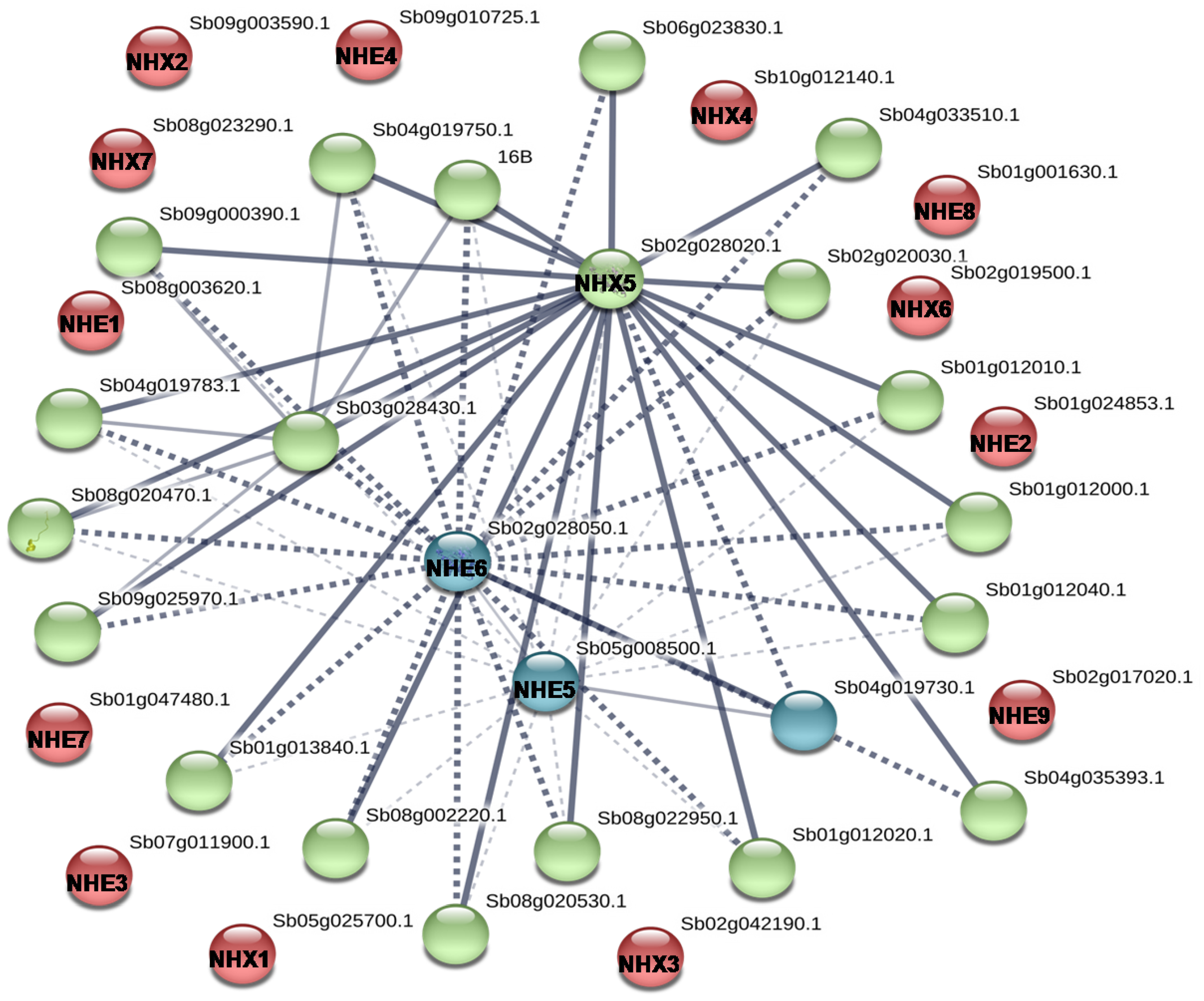Genes 09 00236 g006 Genes 09 00236 g006