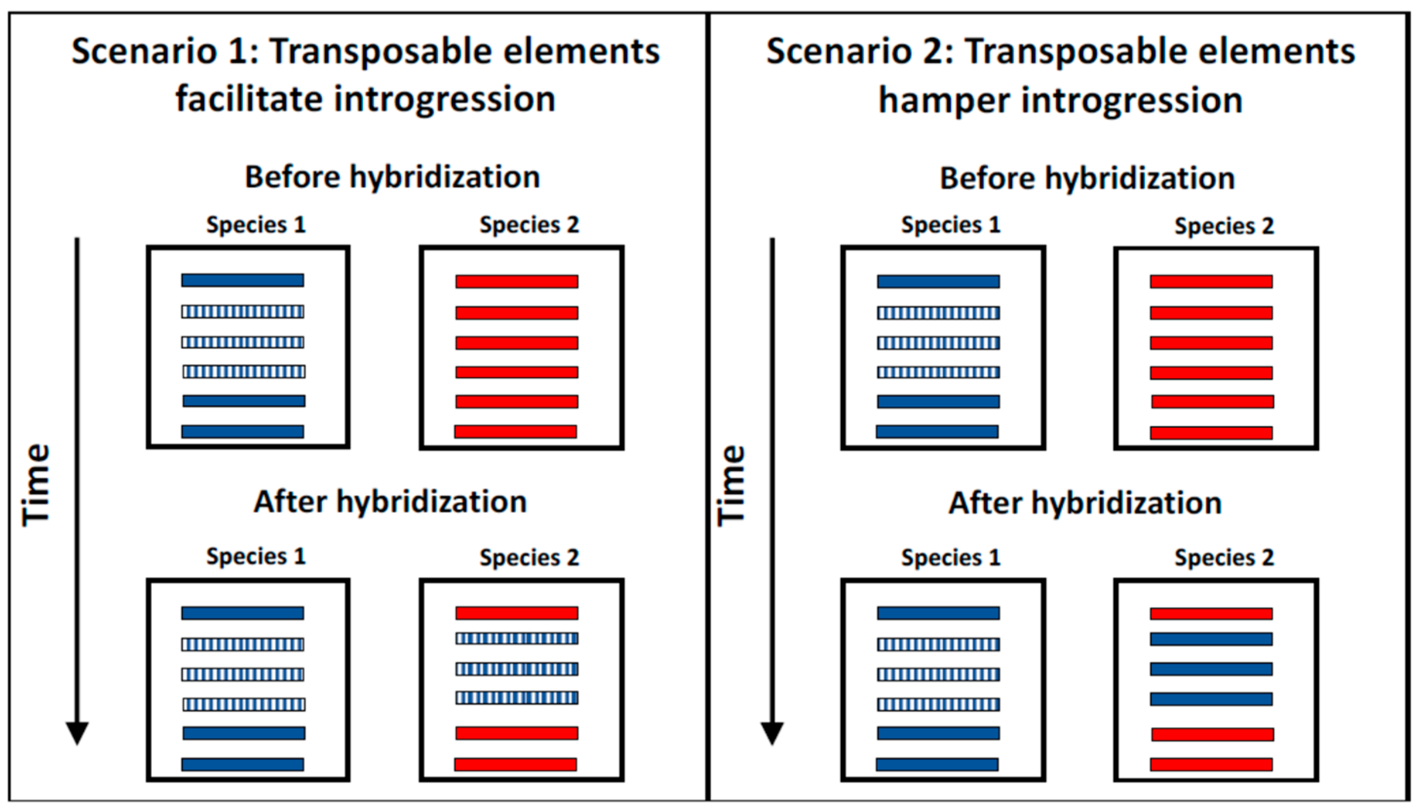 Genes 09 00254 g002 Genes 09 00254 g002